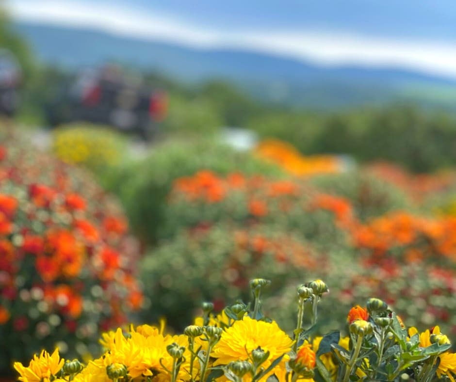 Our Top 5 Must-Do Fall Activities inception-app-prod/NDc5ZWIxNWEtZjJmYS00NWFmLWJkYTctNmNjYWI5Zjg5NWYx/content/2021/10/fb5dac61d64a248f2524854f32dbfc0c429648c7.png