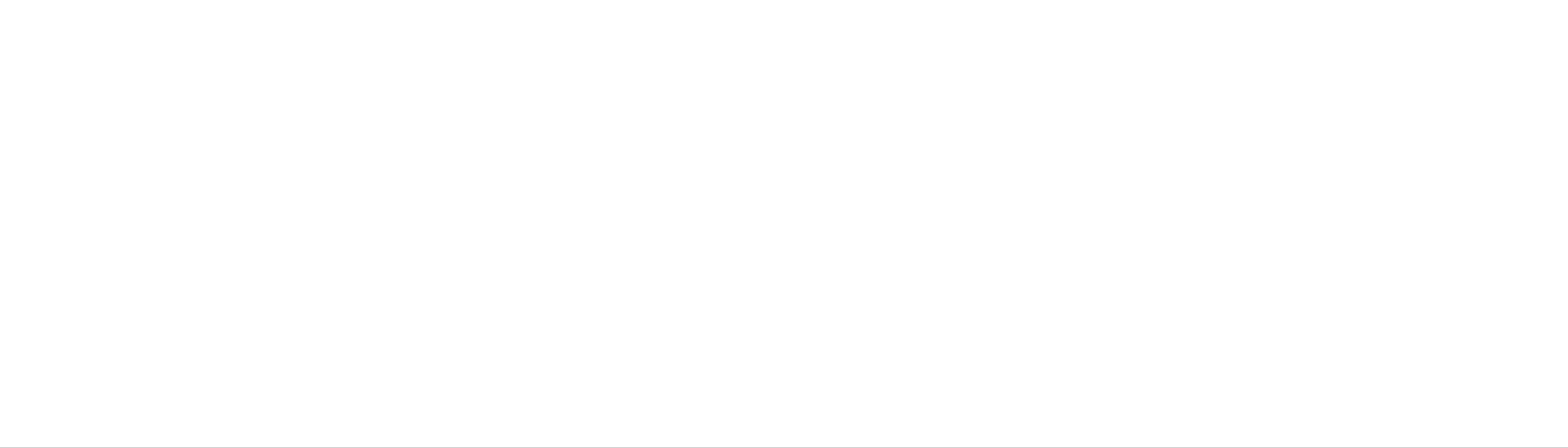 The Hômanity Team logo