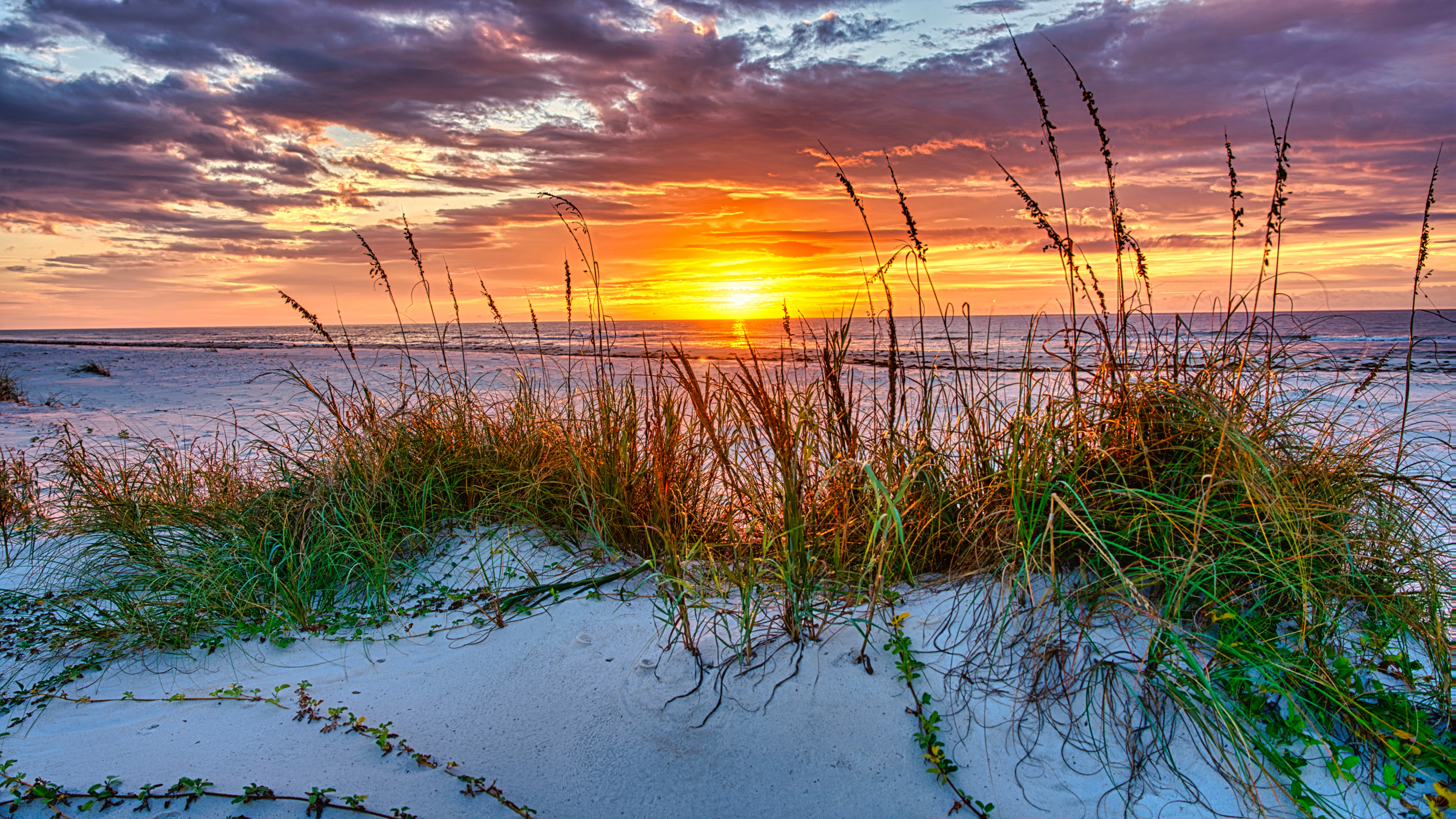 557 E Pine Ave., Saint George Island, FL 32328 inception-app-prod/NDk3ZmJmNjYtNGMyYi00MjFjLWI1MjgtODE5Mjc1MTNkOTMy/content/2022/10/71c5397d7b45eacfdca67c1ff84f45a84a078d70.jpg