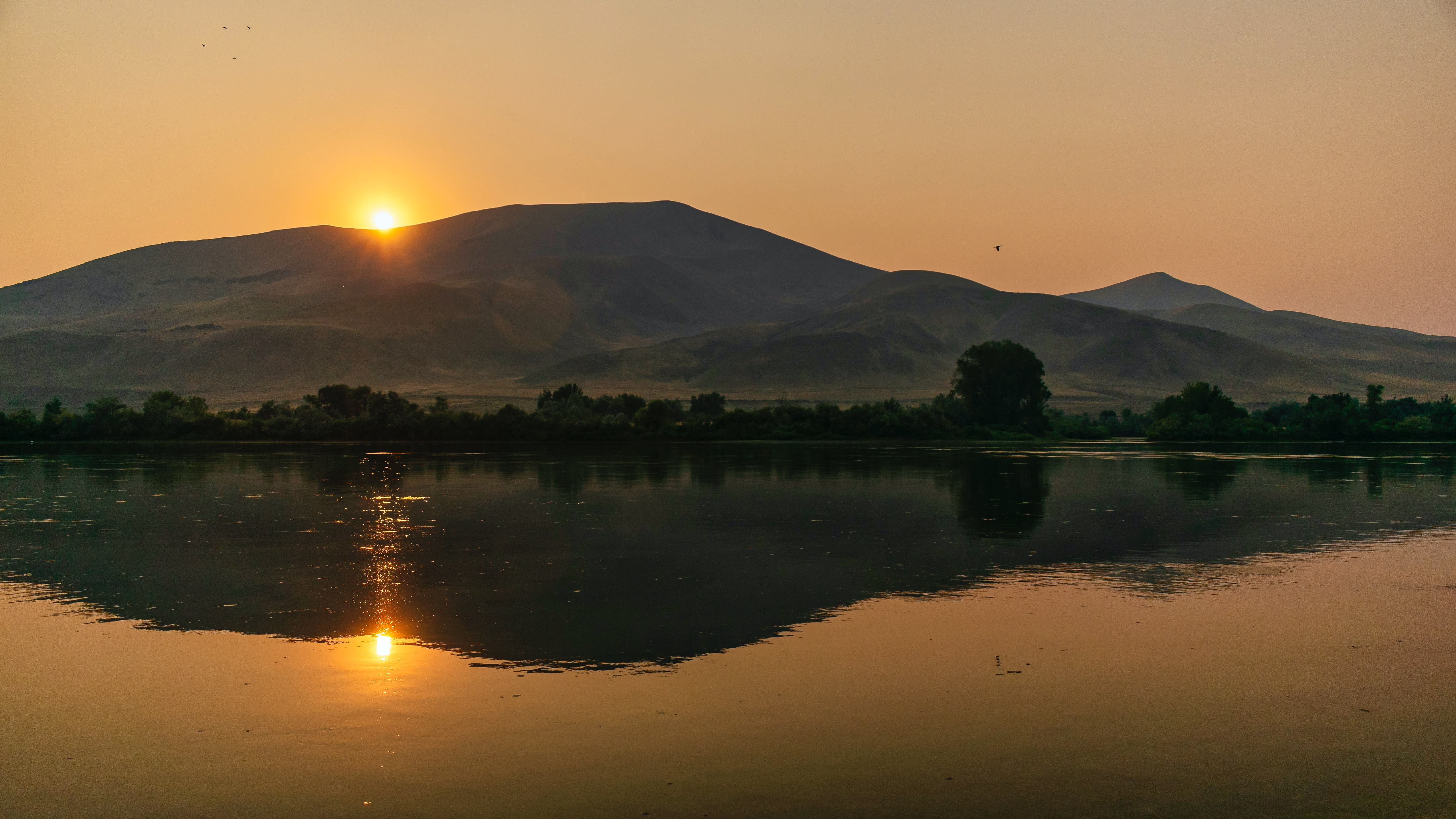 Homedale Idaho Real Estate inception-app-prod/NGEzOTYzMWUtNzUzZC00Mzc0LTljMzctYWU5ZGU3NjUwNmFl/content/2023/01/39bd97d94da92978fa9f53a976d61e3ec5241806.jpg