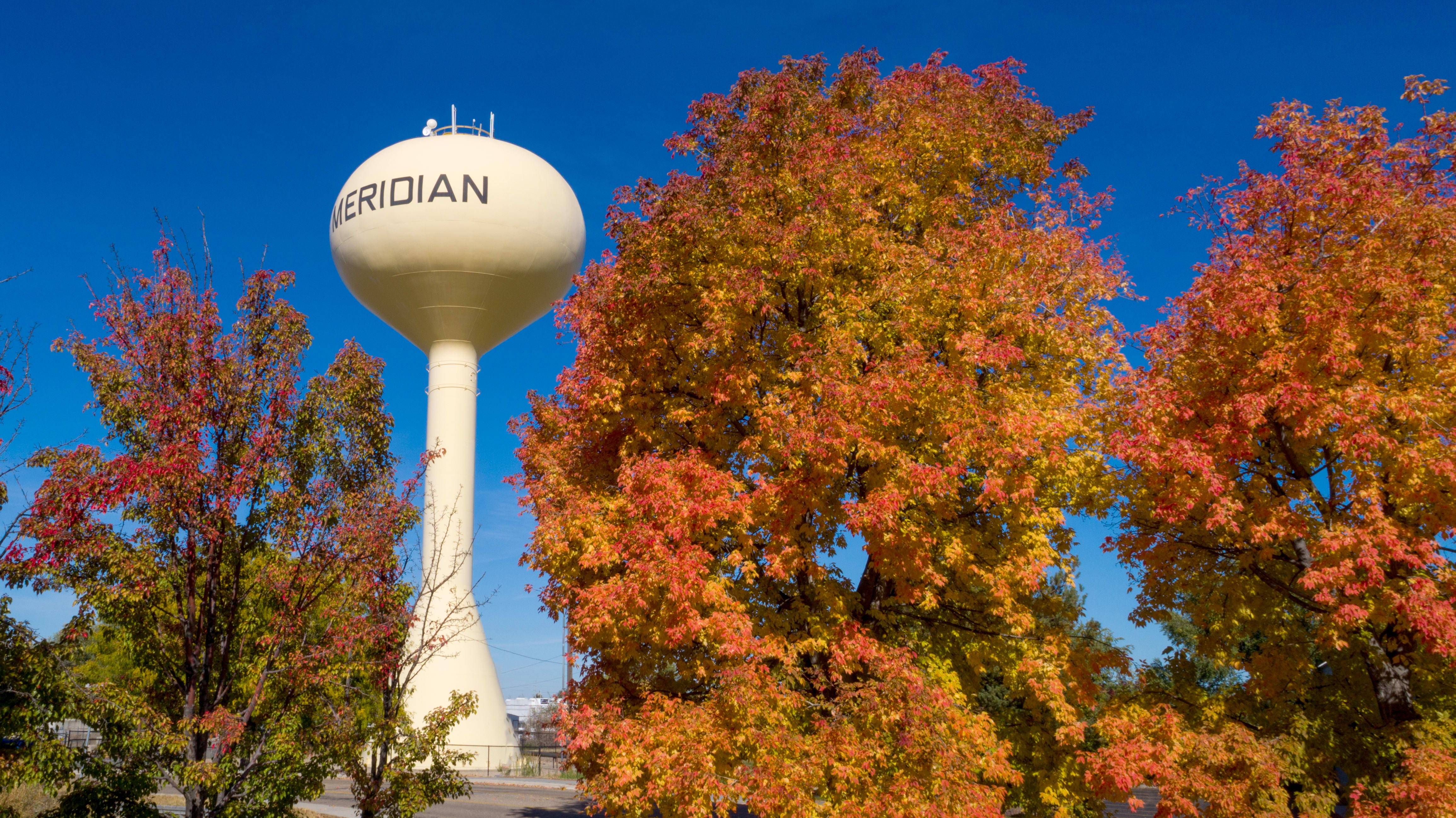 Whitecliffe Estates Meridian inception-app-prod/NGEzOTYzMWUtNzUzZC00Mzc0LTljMzctYWU5ZGU3NjUwNmFl/content/2023/01/a39ab805dc115f5ee6747f777026049ae3656e8a.jpg