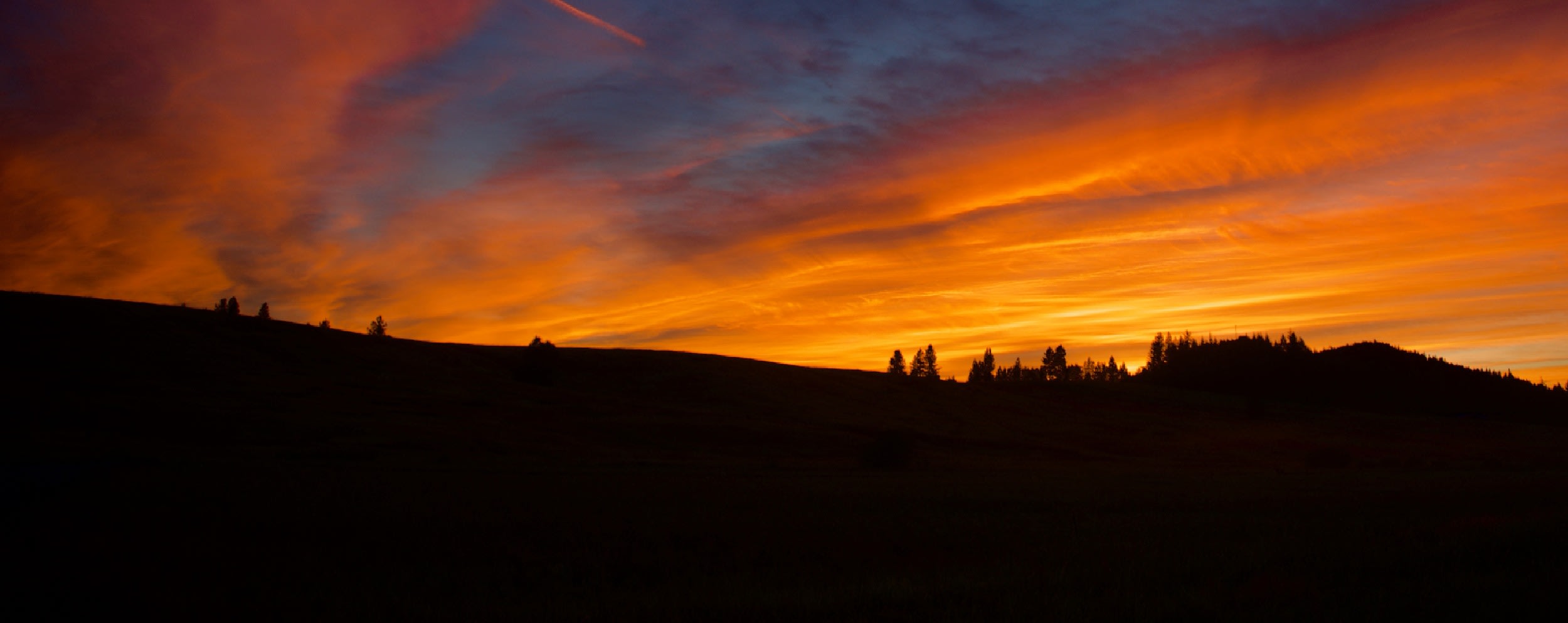 Silvercrest Estates 55+ inception-app-prod/NGEzOTYzMWUtNzUzZC00Mzc0LTljMzctYWU5ZGU3NjUwNmFl/content/2024/04/7bdce493bab543d719e5ad3cbb311289e2544c30.jpg