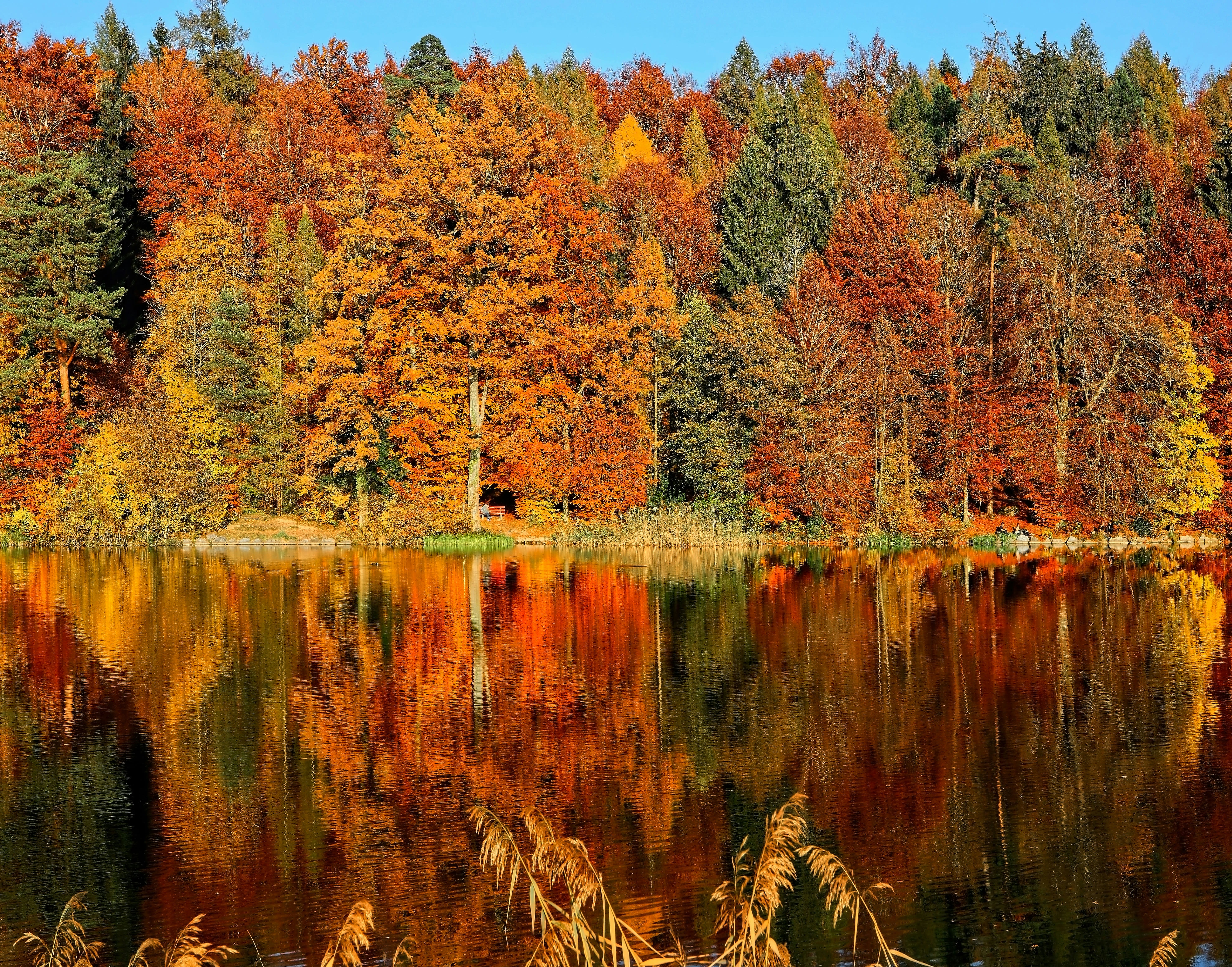 Idaho Housing Market Stats October 2024 inception-app-prod/NGEzOTYzMWUtNzUzZC00Mzc0LTljMzctYWU5ZGU3NjUwNmFl/content/2024/10/95aa5903f941f97b02ea502dc463552ee68a26fb.jpg