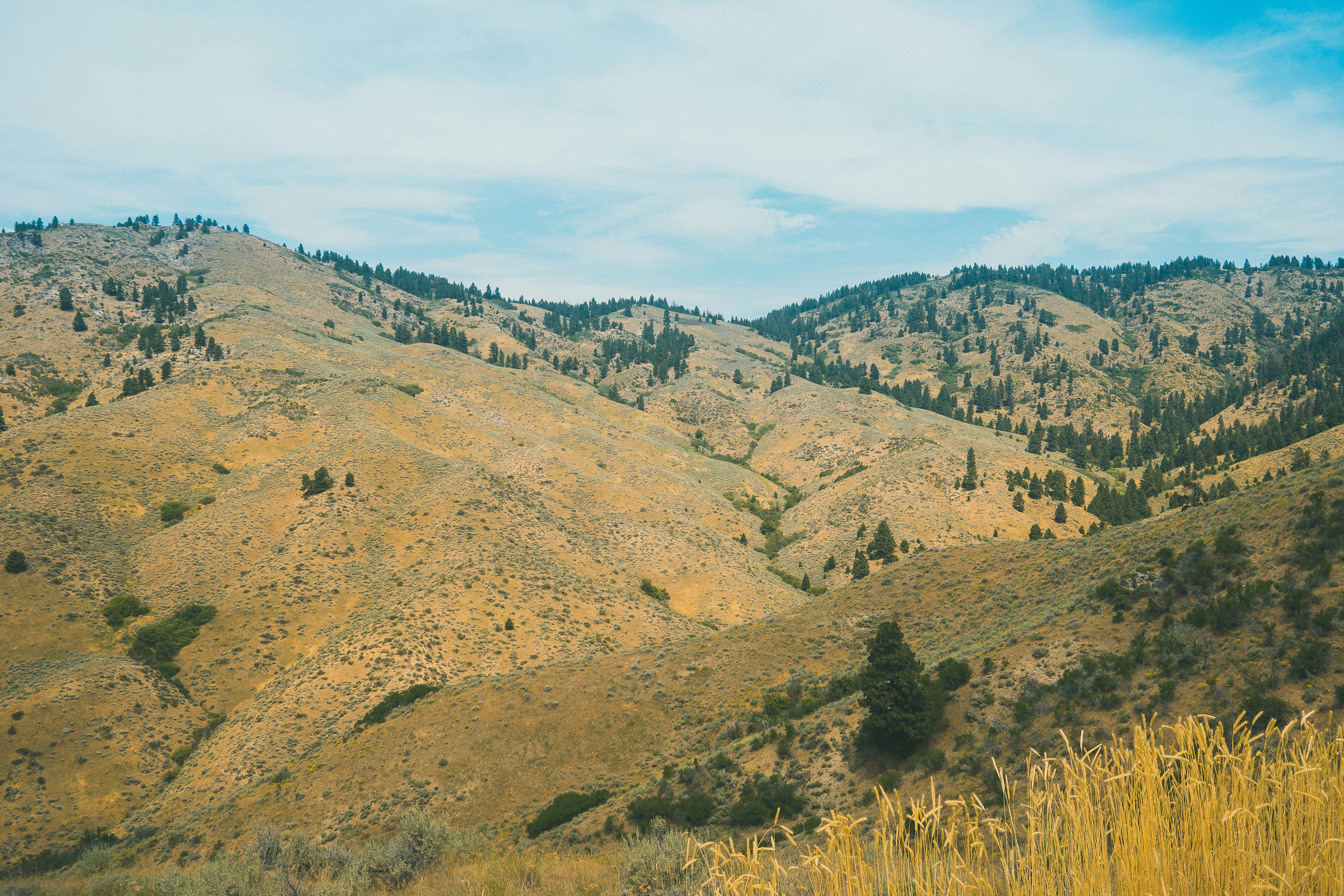 Mayfield Springs Idaho inception-app-prod/NGEzOTYzMWUtNzUzZC00Mzc0LTljMzctYWU5ZGU3NjUwNmFl/content/2025/05/171b110e4a7fde5494c0688f6427731a205c793b.jpg