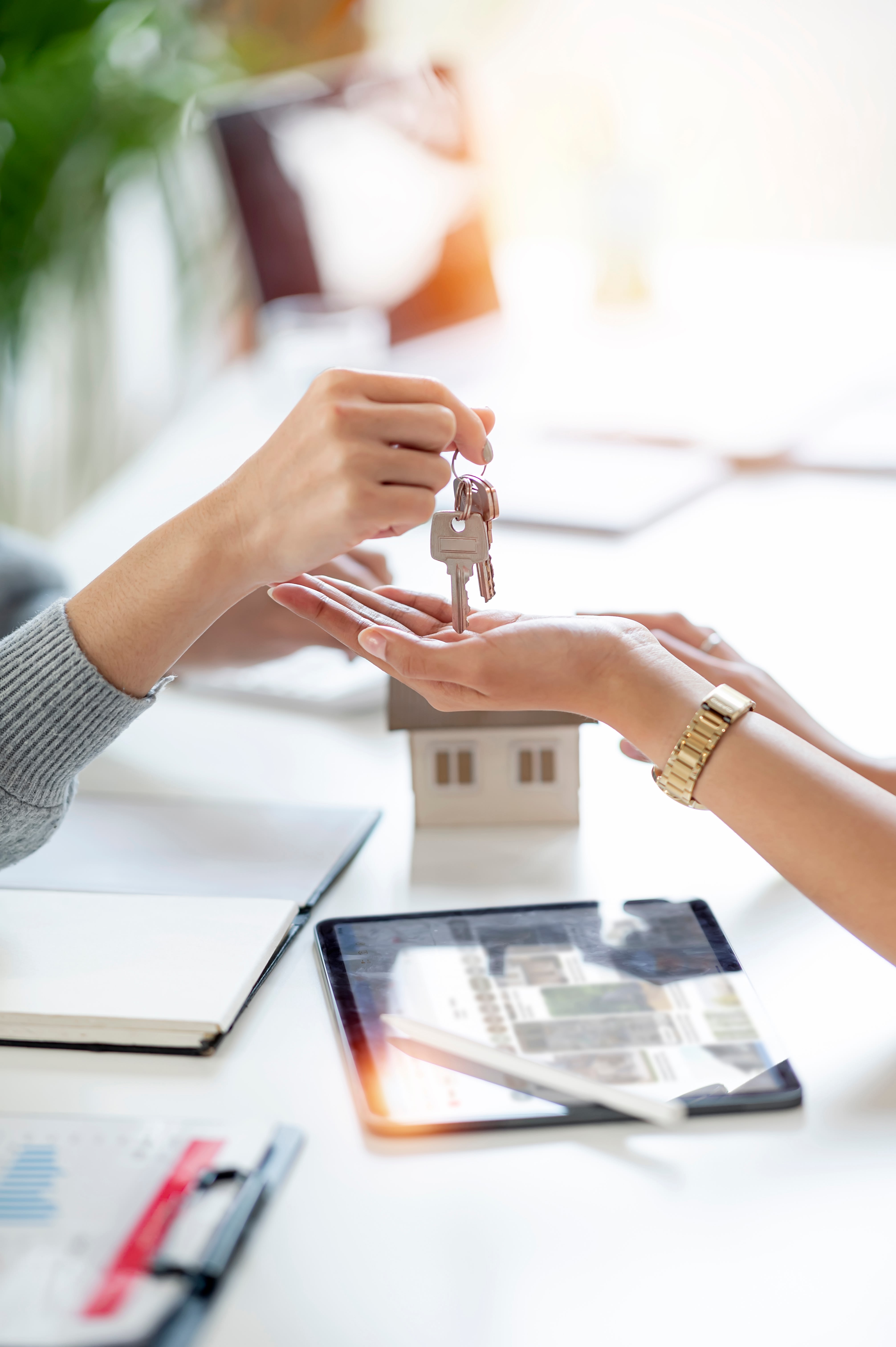 What you should know when selling a house inception-app-prod/NGNhMjBmZDYtODVhYy00NmYwLThiYTgtMmY0MTlkMjIxMjFh/content/2025/03/3114a45118a94215a2458e76de674f6b6839ddb6.jpg