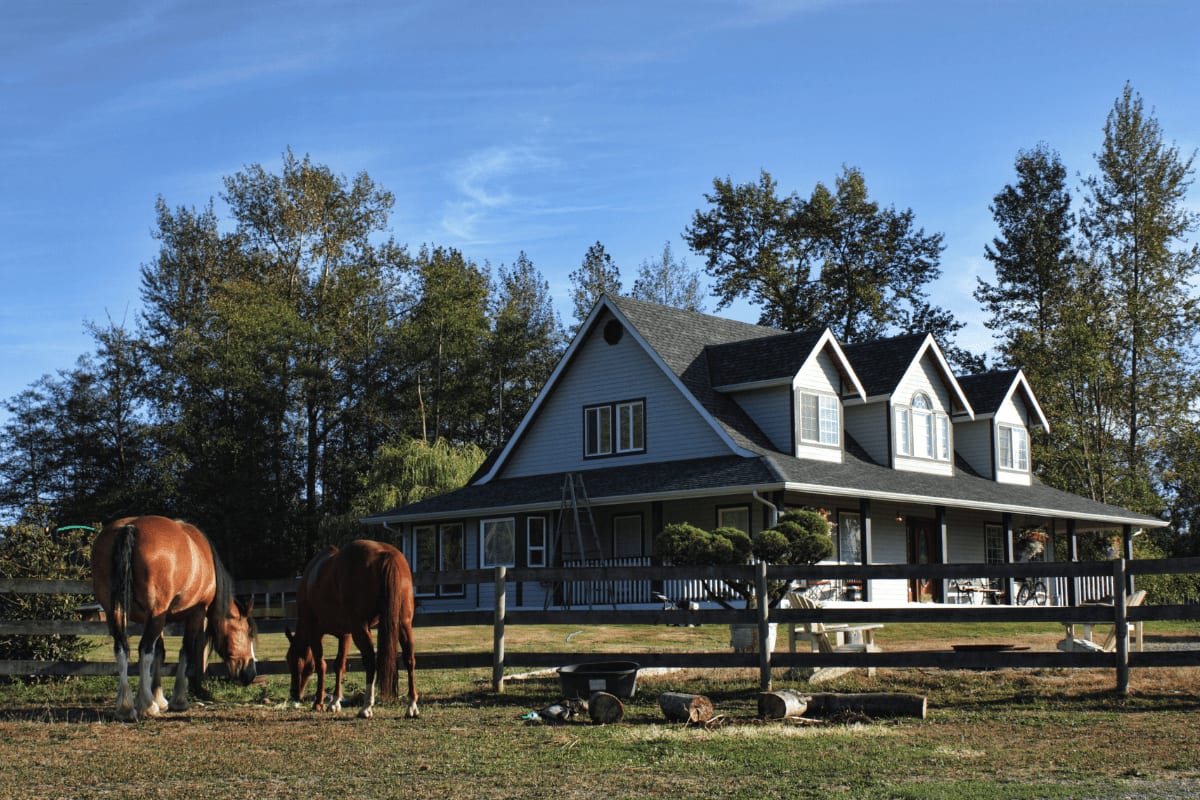 How to Sell a Horse Property: Expert Tips for Success inception-app-prod/NGQxNzQwYjMtMzk2Ny00Mjc0LTg0NTEtYmU0MGQzNTMxYjg2/content/2024/02/2e3820fbd091f8f7df9059c4b5c10f2cbb1c071d.png