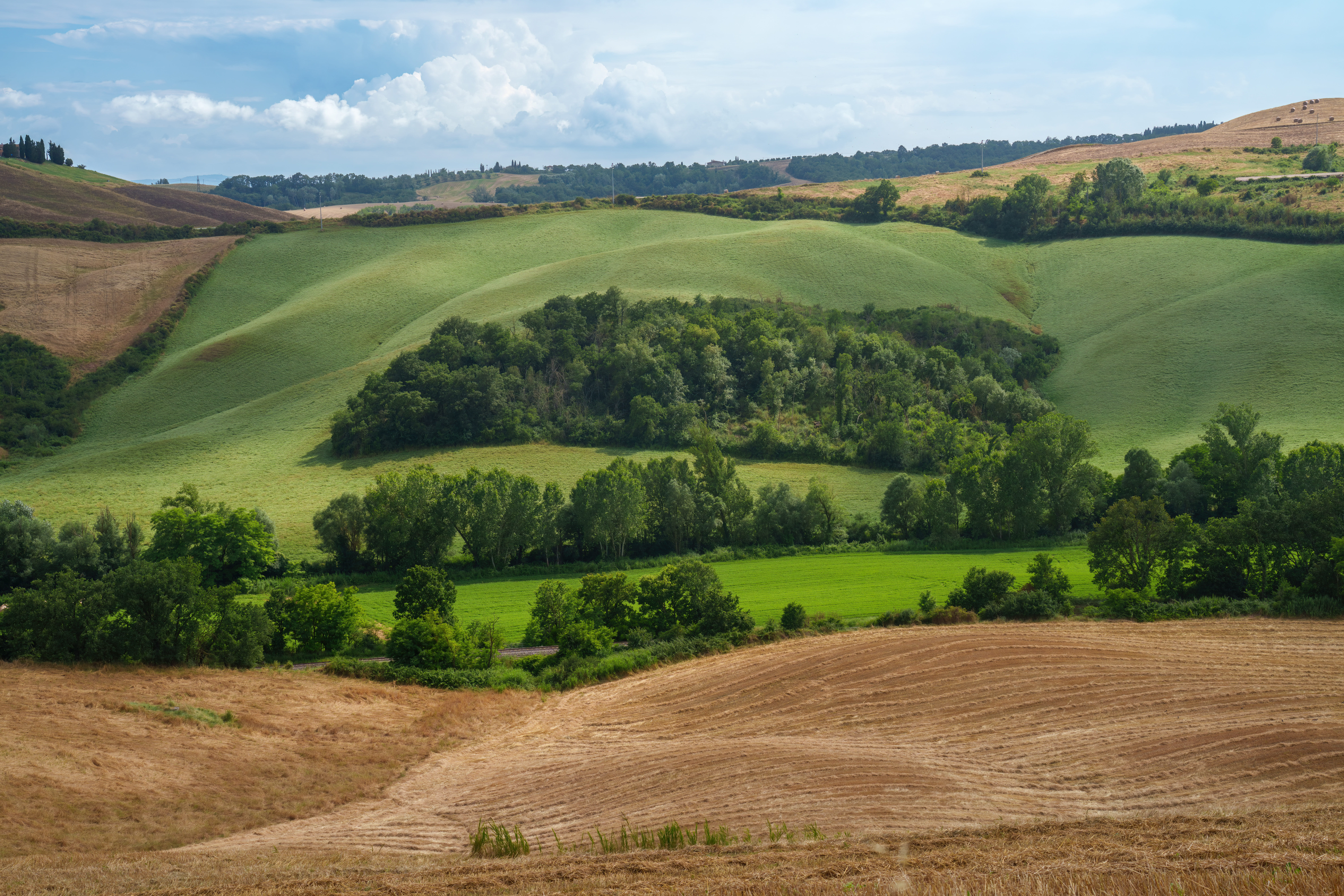 Bealeton Virginia Real Estate Selling Property in Jeffersonton VA