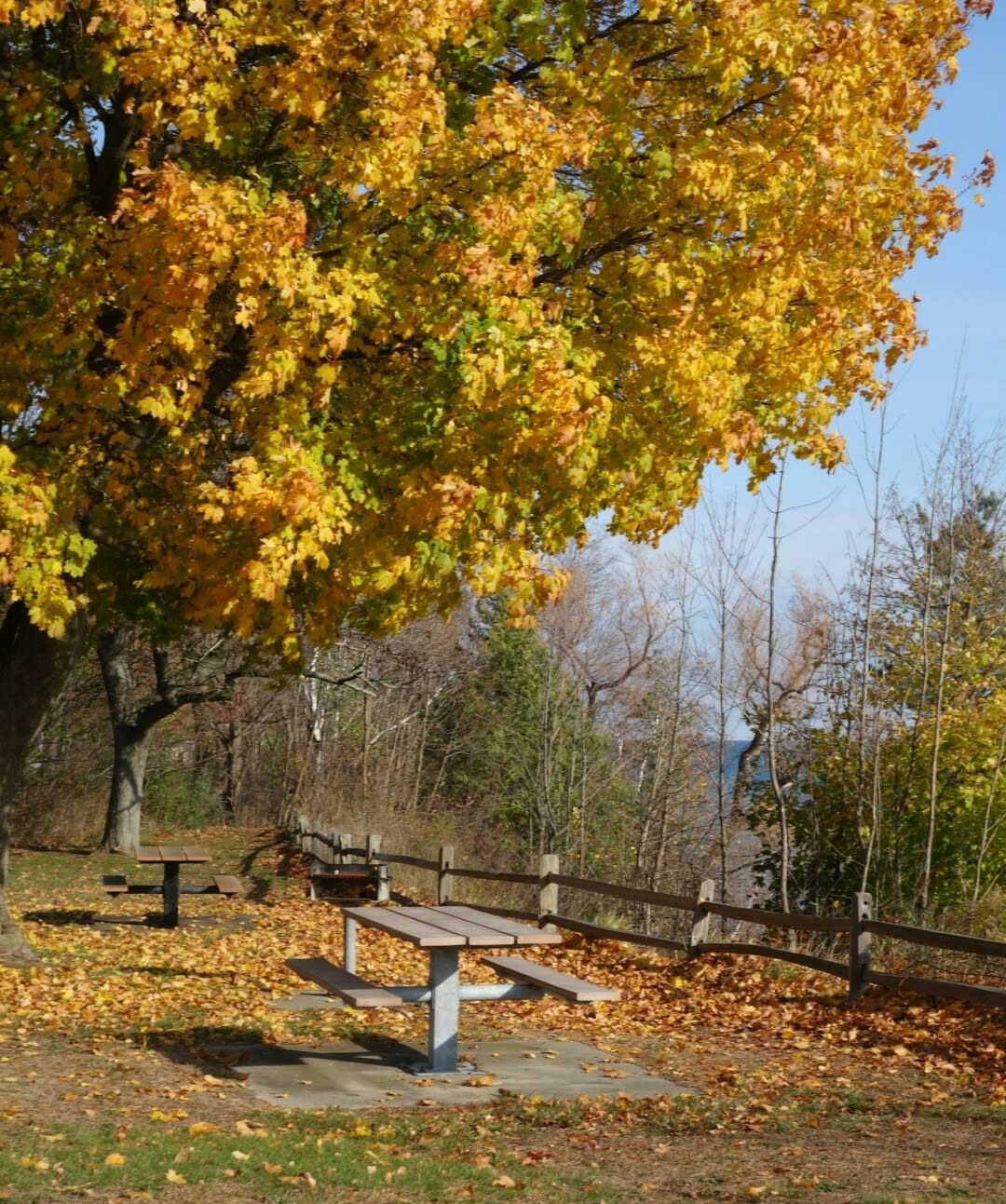 Port Sanilac inception-app-prod/NGYwYWEyMzctMGYxZS00OWRjLWE5MWQtOTEwYWMzNTMzZWI5/content/2025/04/f83c5896d25d636849194c2296c59f4e4aaefdd1.png