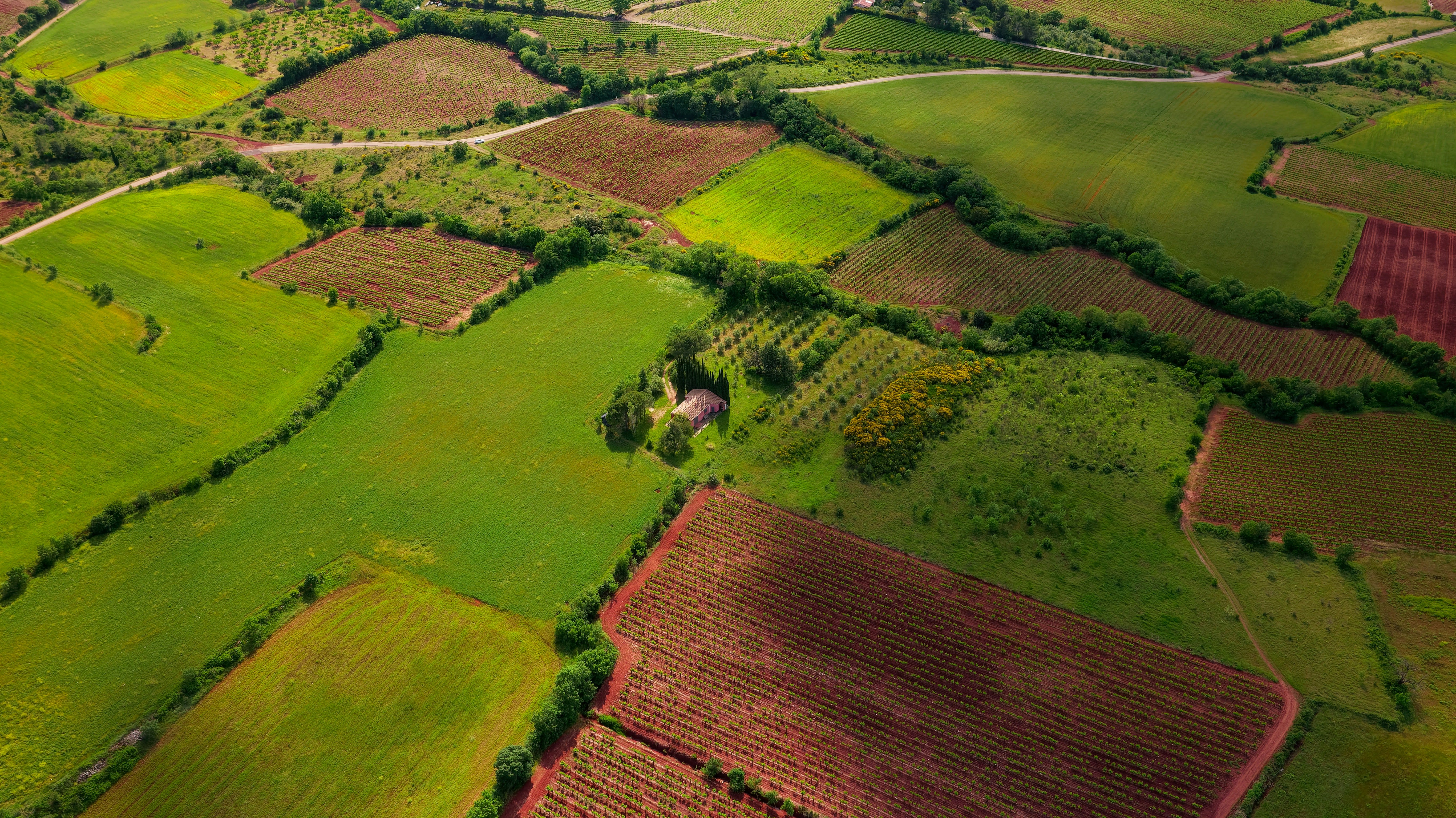 Land inception-app-prod/NGYwZjQxYTUtYzljZi00MGZkLTk5ZjQtZDgxZmNhZTBiZGIw/content/2025/05/c86afd6e7b630a9453d563c1ce3cc7a8beb677aa.jpg