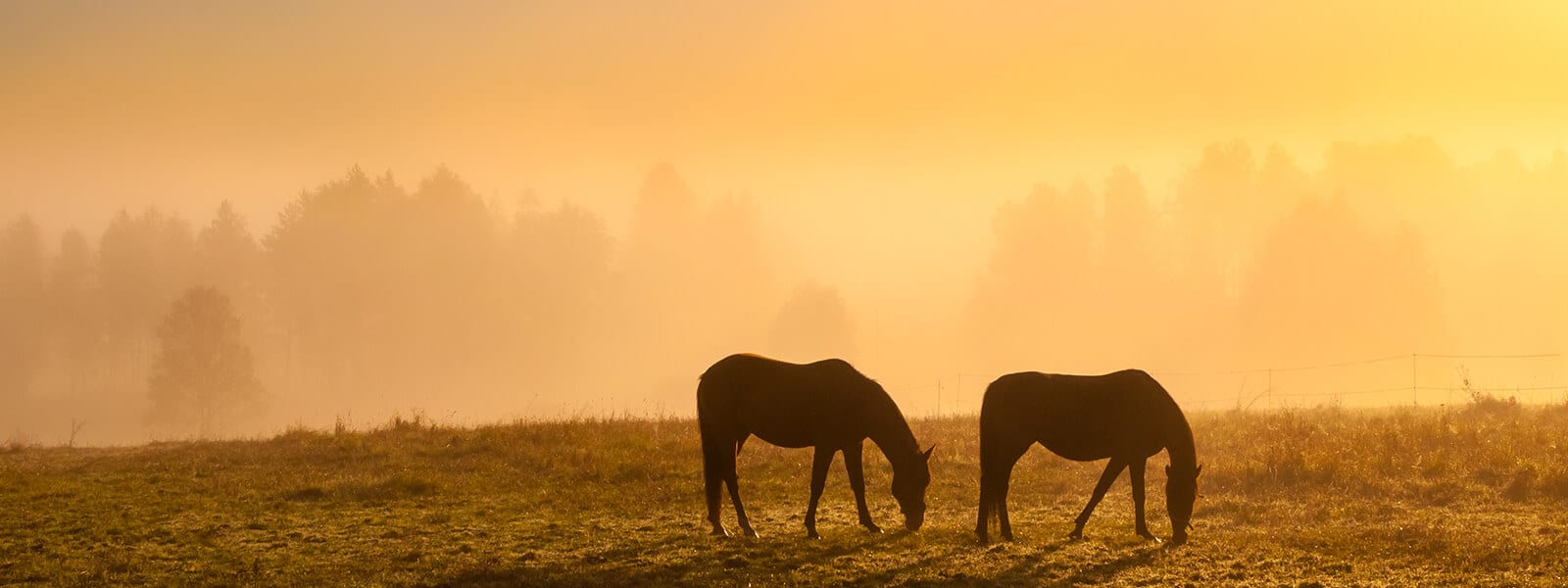 4 Ways to Finance Your Farm Purchase inception-app-prod/NTAwOWY5NjgtMzIzOS00YmVjLTkwMWEtMDhjNDBjYzM4NmQy/content/2017/01/fr-content-1.jpg