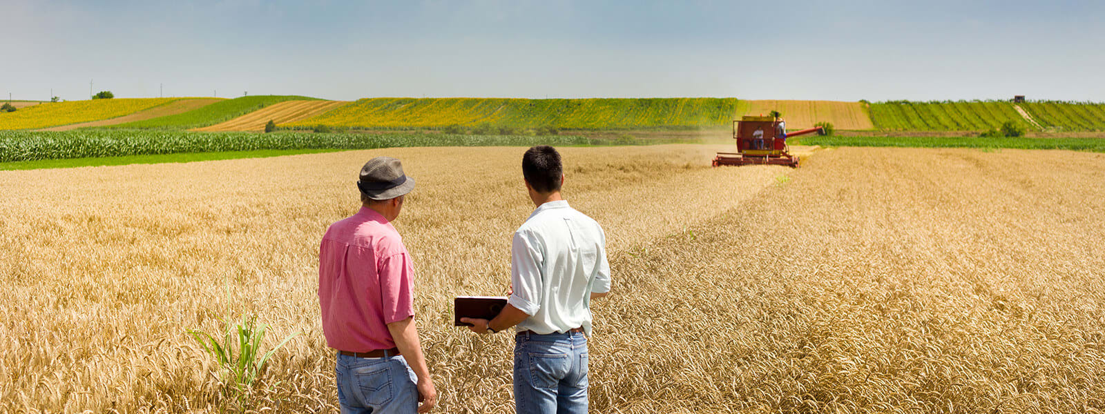 Questions to Ask Before Buying a Farm or Ranch inception-app-prod/NTAwOWY5NjgtMzIzOS00YmVjLTkwMWEtMDhjNDBjYzM4NmQy/content/2017/01/fr-content-3.jpg