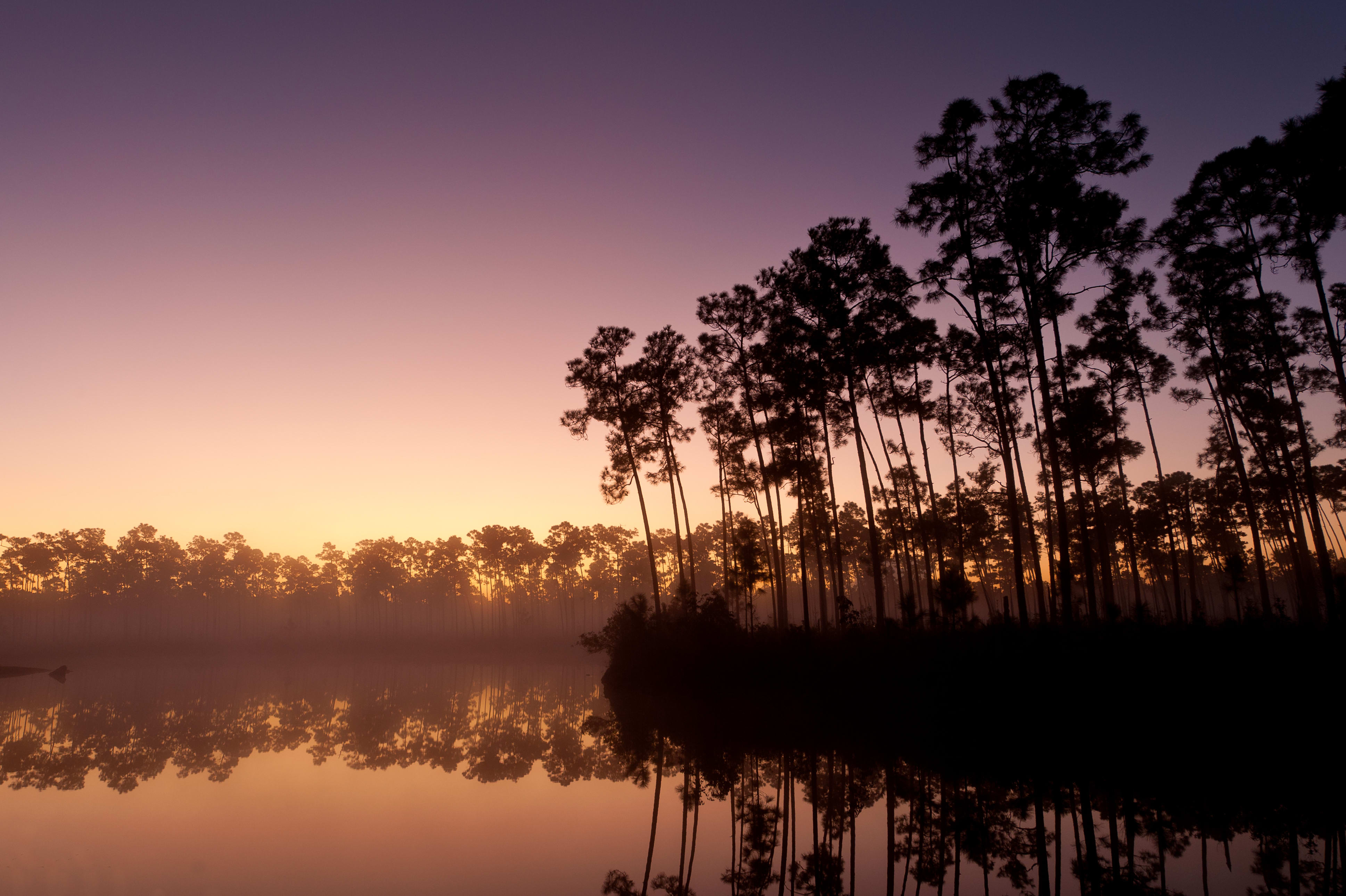 Redlands inception-app-prod/NTBlYzFmYWYtYzA5Yi00ZTFiLWI0MzMtMzQ1ZGNlYWQyMzBm/content/2017/02/shutterstock_94199503.jpg