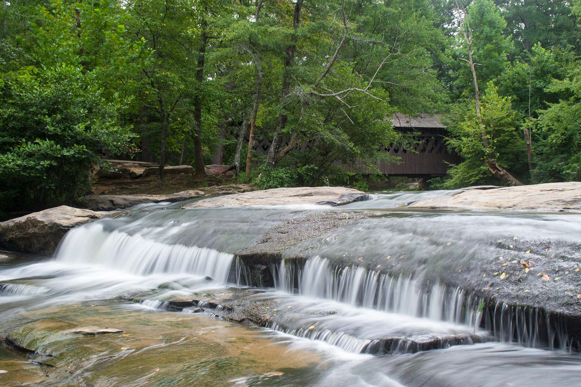 Forsyth inception-app-prod/NTJjOWZjMWQtMDIwOC00MGJjLTkwZmItMWM4ZmQ1ZTFmYWIx/content/2021/09/shutterstock_1796282623.jpg