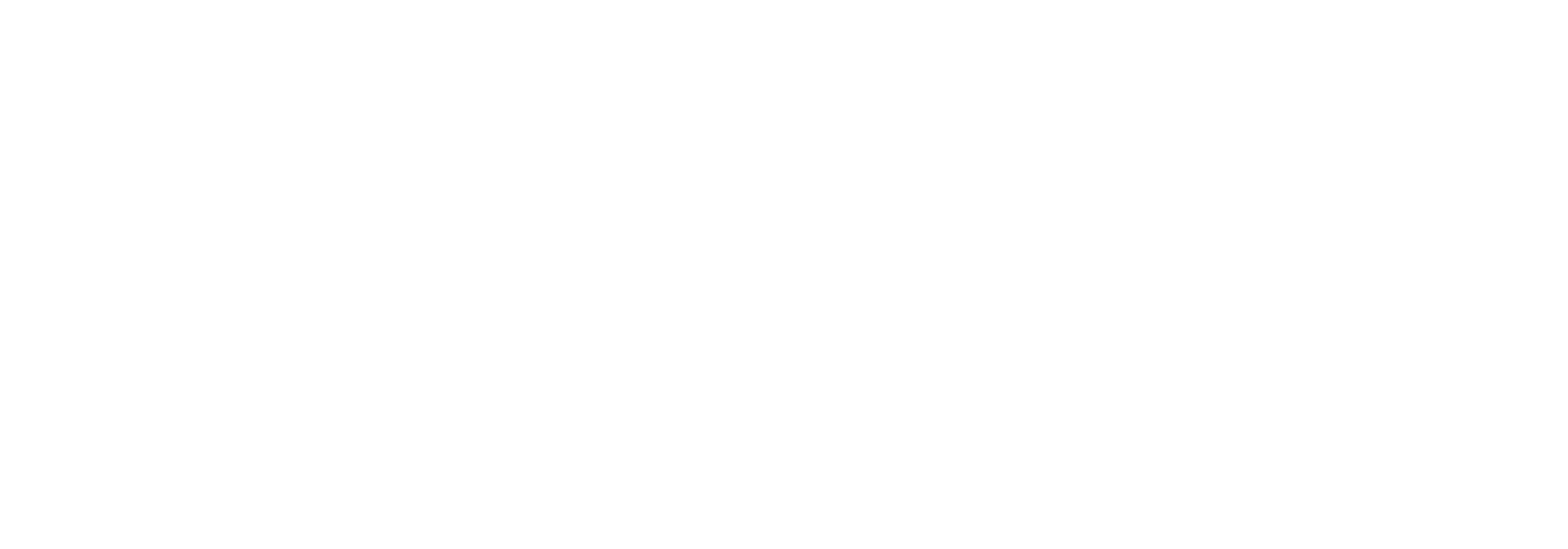 The Stolper Group logo