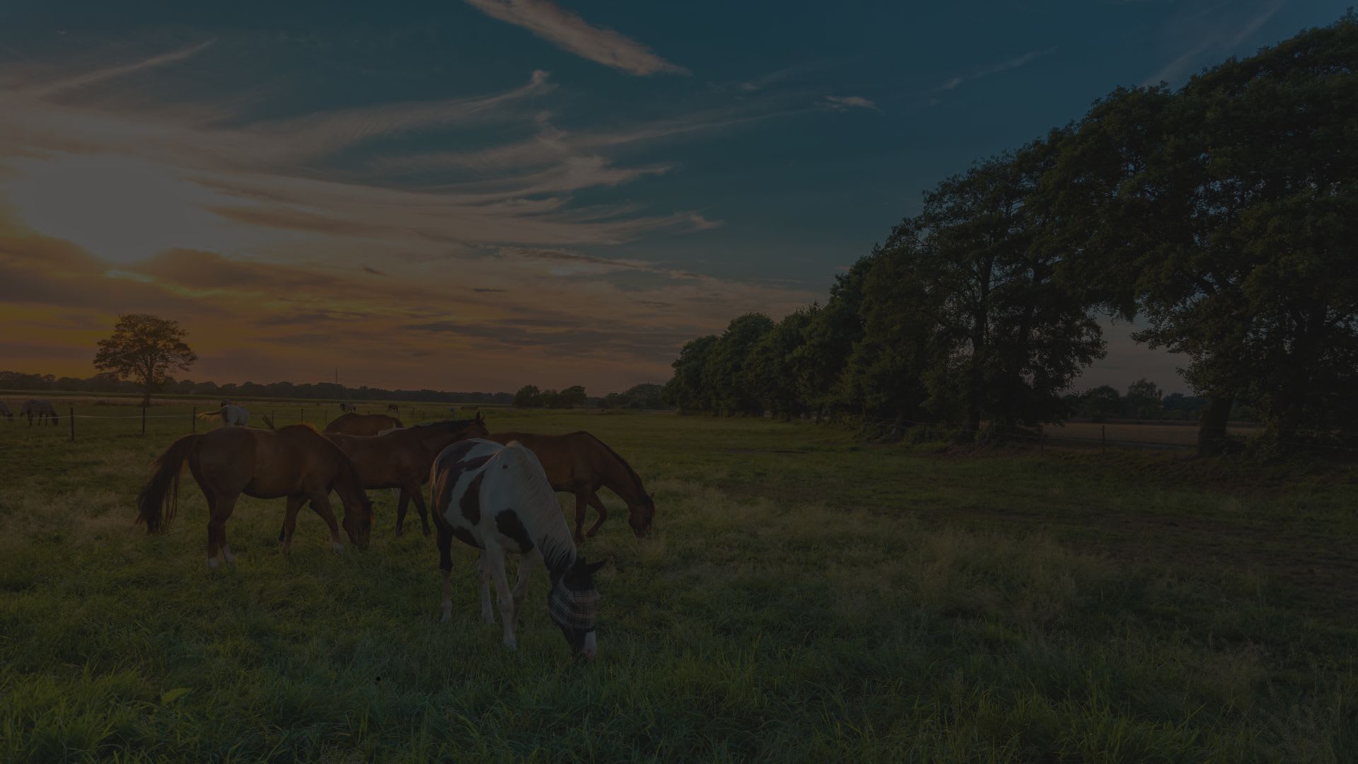 Williamson County inception-app-prod/NTdiNmMxOTQtMzFmMy00YjAwLWFmMzctY2ZiMTZmNDhmYjFj/content/2025/08/6bc241f7a5e47c7f94f6cb51c382d234c84cd560.jpg