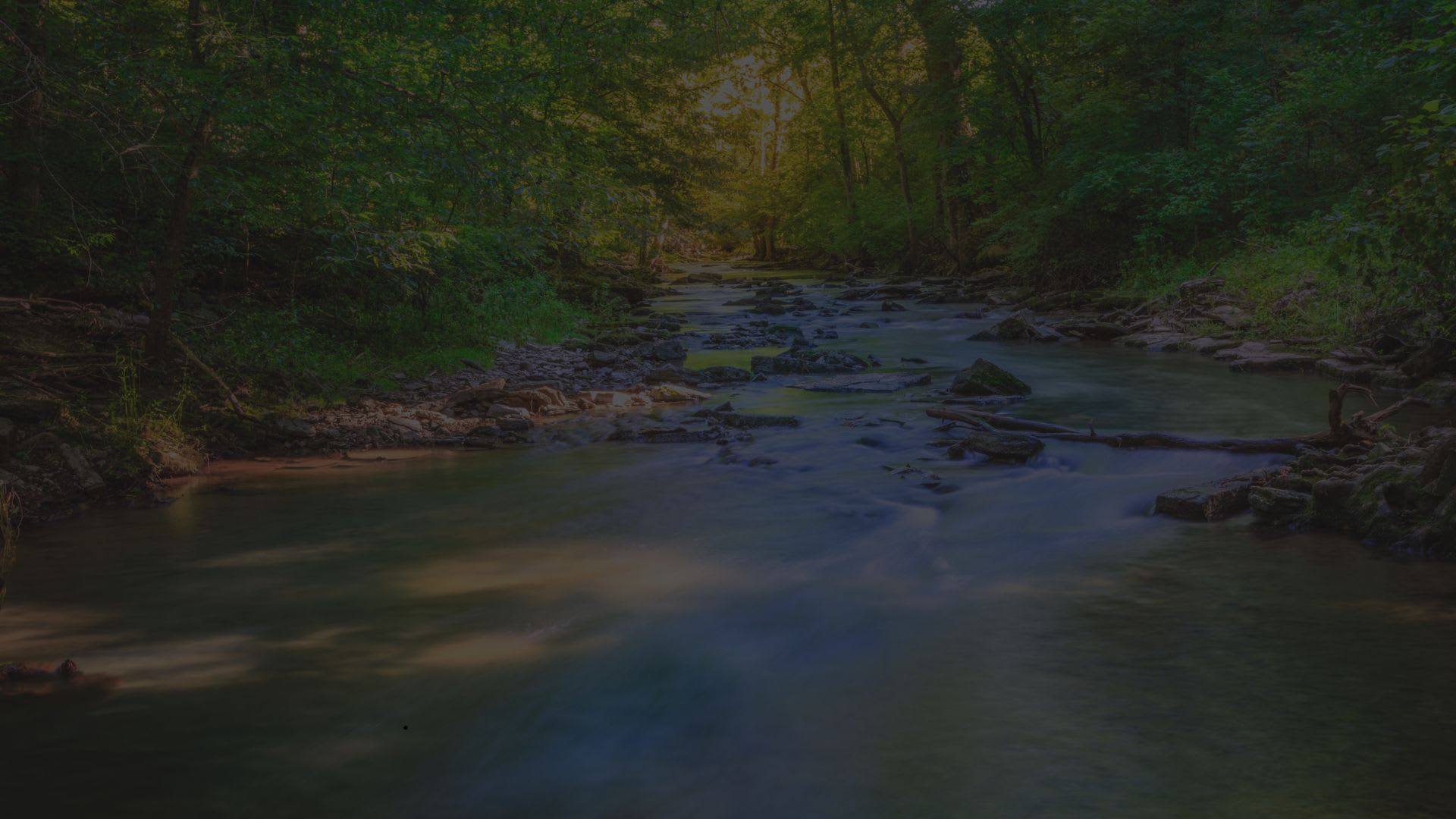 Hickman County inception-app-prod/NTdiNmMxOTQtMzFmMy00YjAwLWFmMzctY2ZiMTZmNDhmYjFj/content/2025/08/73728e3d379e230c028102fd7b2d99c5c6d5f82d.jpg