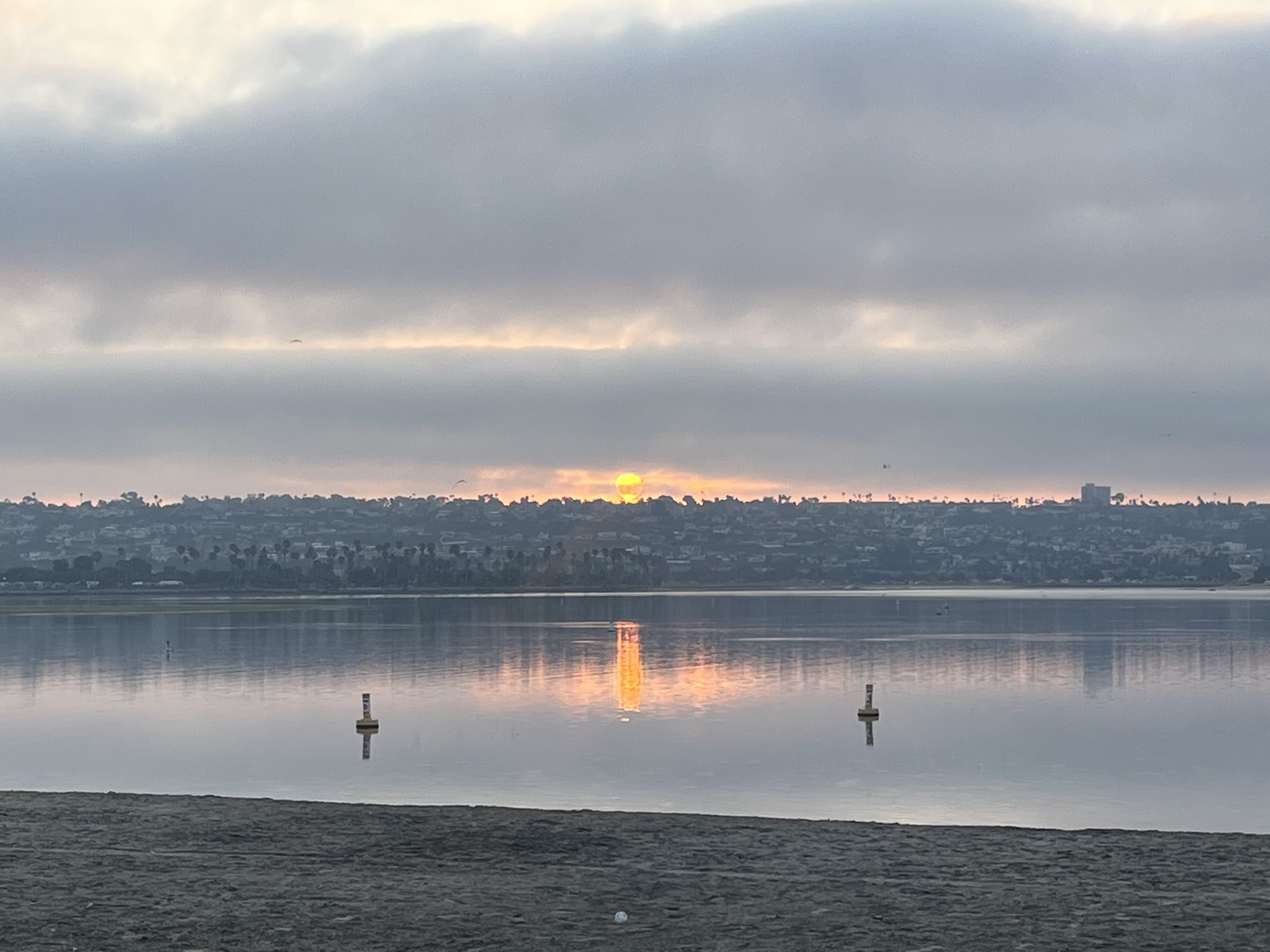 Where is the market going? inception-app-prod/NTgxOWI3ZDUtZWI1MS00MjU4LThhNGEtNzhjMGQzN2Q1MjAz/content/2024/08/90f8915d7a8cf979d8870c176b4a80f67ca7d7f7.jpeg