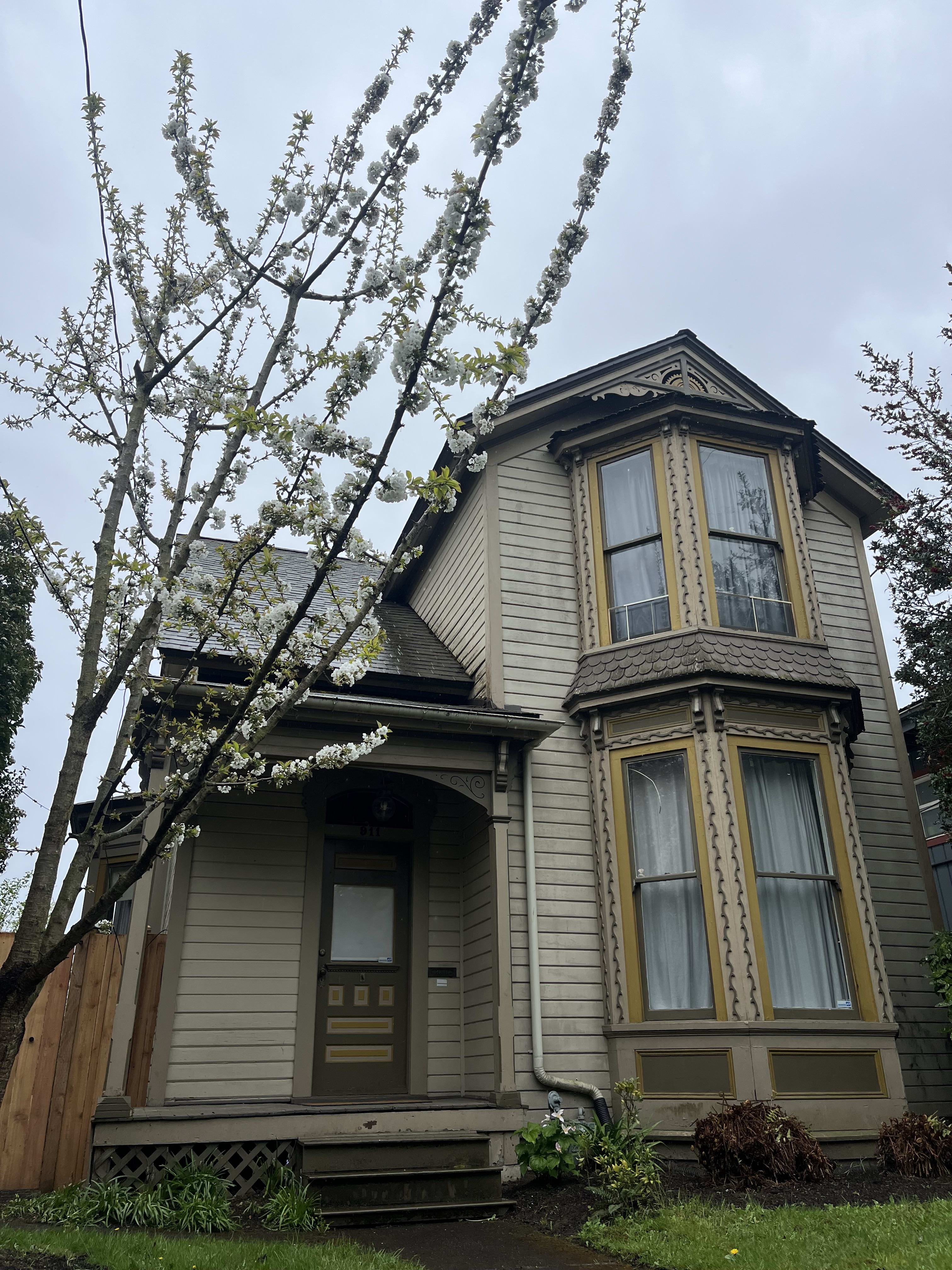 Probate Limits Increase inception-app-prod/NTgxOWI3ZDUtZWI1MS00MjU4LThhNGEtNzhjMGQzN2Q1MjAz/content/2025/04/762236c6baa2bd3d22da38b30821d5cf718c829e.jpeg