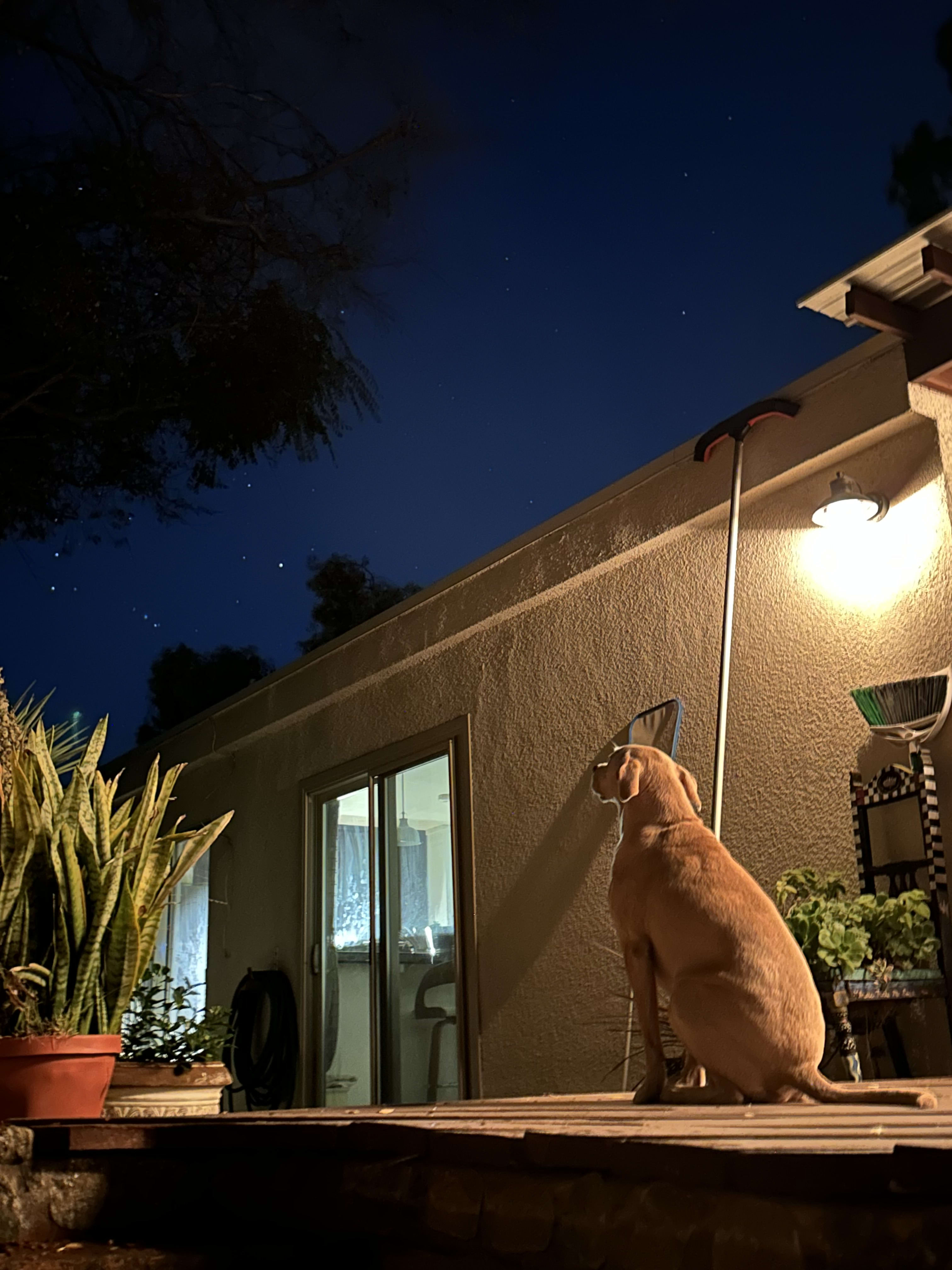 What is the Average Downpayment? inception-app-prod/NTgxOWI3ZDUtZWI1MS00MjU4LThhNGEtNzhjMGQzN2Q1MjAz/content/2025/06/9a95abf51b6b3e328fd4b2341df8105685b7ba17.jpeg