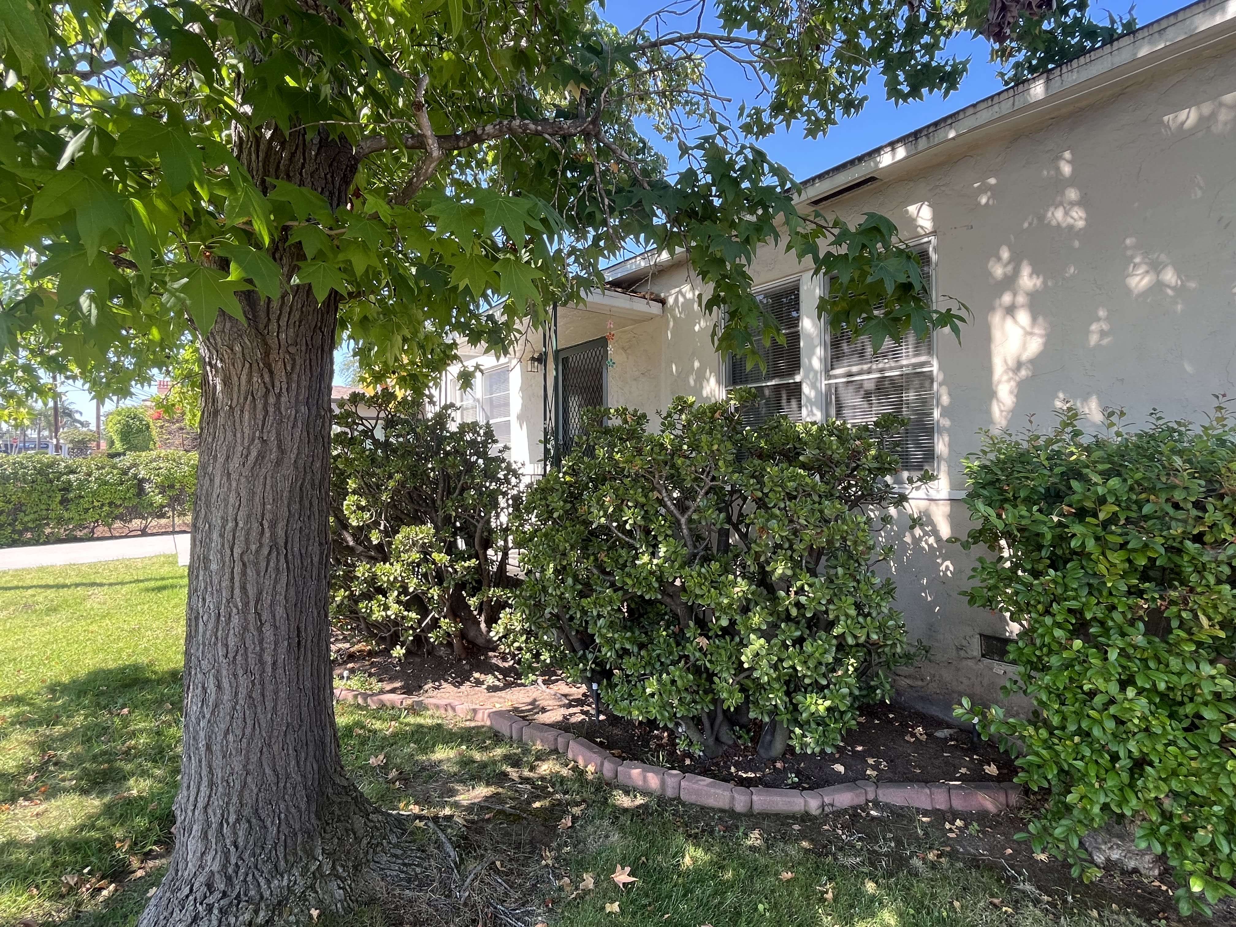 Mortgage Rates Drop (a bit!) inception-app-prod/NTgxOWI3ZDUtZWI1MS00MjU4LThhNGEtNzhjMGQzN2Q1MjAz/content/2025/08/0ba6f49e5ec6d1c5157d7b2e2d6b4ee2eeea758a.jpeg