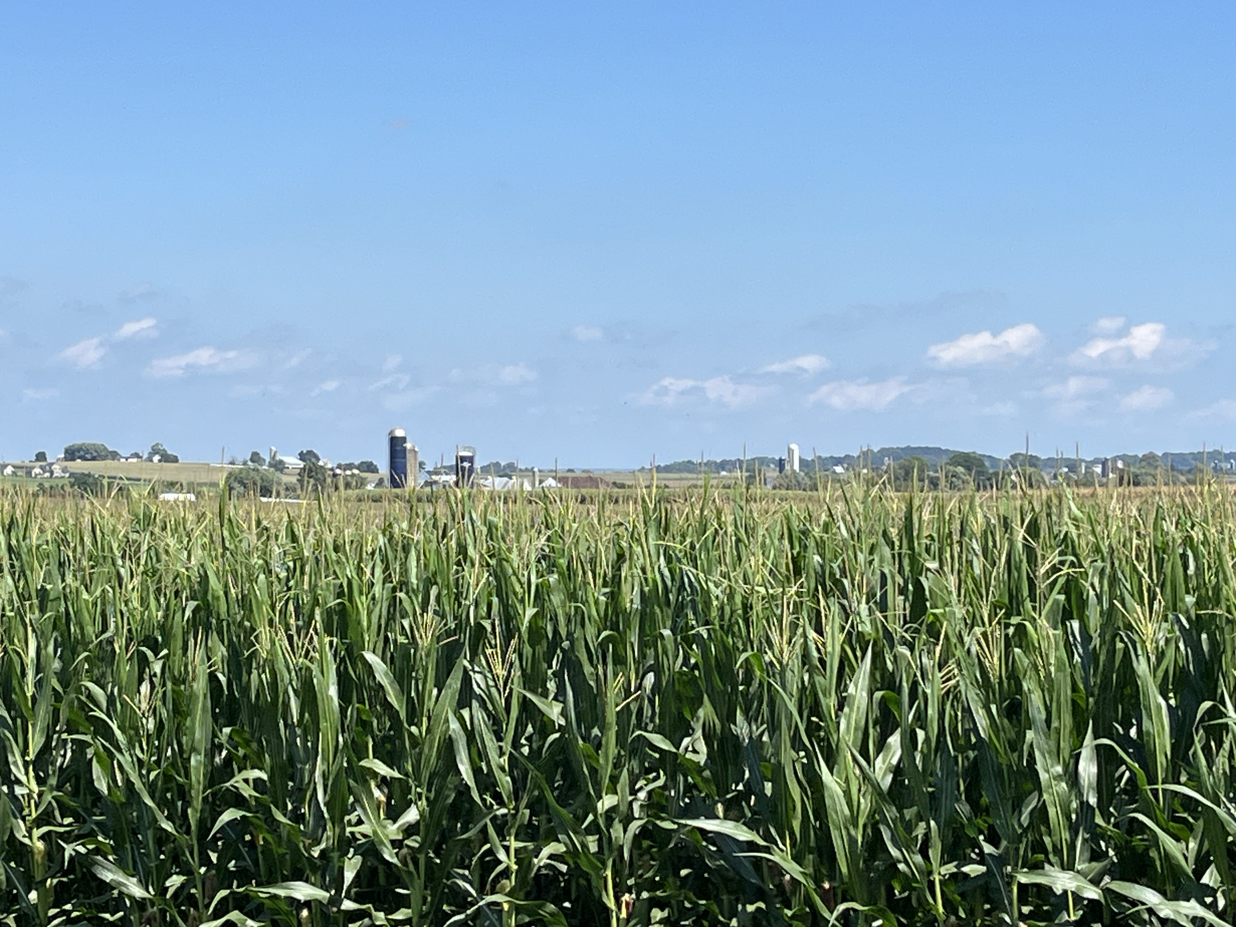 Considering a Move Out of California? How about Kansas? inception-app-prod/NTgxOWI3ZDUtZWI1MS00MjU4LThhNGEtNzhjMGQzN2Q1MjAz/content/2026/06/390d290199ec8ac09222e2c848d58c87d8d4b794.jpeg