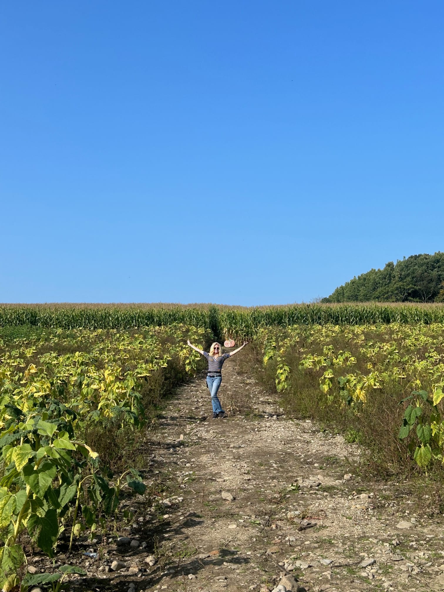 Explore a-MAZE-ing New England! inception-app-prod/NThhZWEzMjktOTRhYS00N2ZhLWJlYjAtYjQ4Y2Q3NTA0MjZi/content/2023/10/58ac0c50de464fb52698dcee1cebe1b75fb684b7.jpg