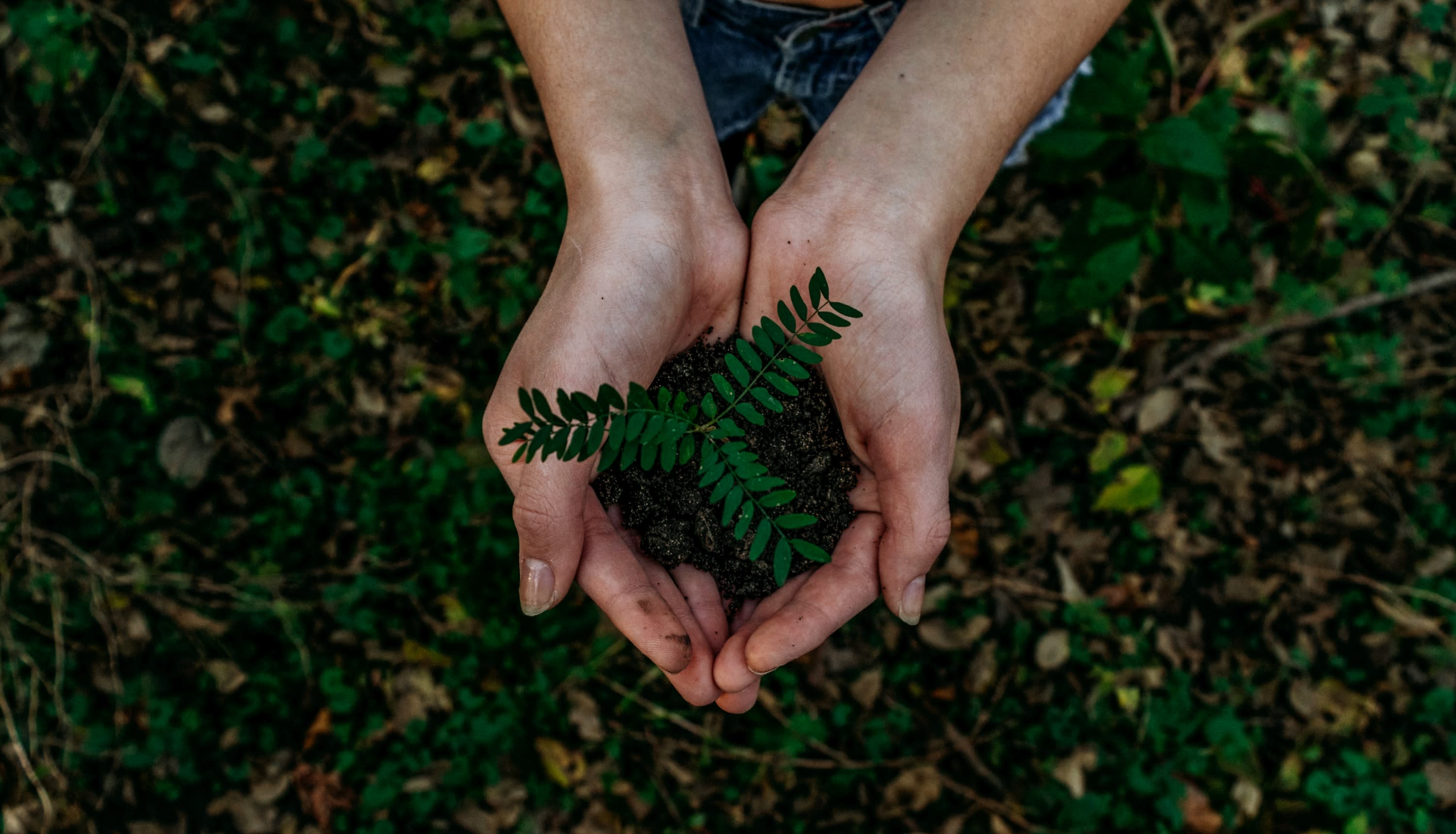 Saving The Planet One Step At A Time inception-app-prod/NThkMWFiN2MtNTQ4Yi00NTU1LThkOTMtMzI3YjgwY2QzZTM2/content/2022/10/8fc23a7890a7d94a6c75dcb30e129fe7372c2f86.jpg
