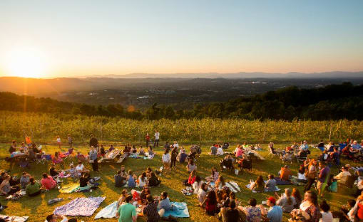 Central Virginia Summer Bucket List inception-app-prod/NThkMWFiN2MtNTQ4Yi00NTU1LThkOTMtMzI3YjgwY2QzZTM2/content/2026/06/4a2ecd20f8db27189408d7ff8e44f8074bf450dc.png