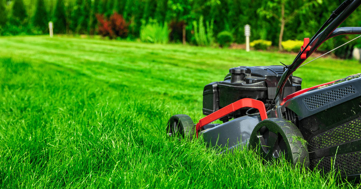 Do it Yourself Lawn Care Schedule for Spring and Summer inception-app-prod/NTlmNTZlYjAtNGM0Ni00ZmRkLWExYWUtMzJjYWYxNzdmMDRj/content/2023/04/9c40c2958ecab2204bd5e46abed38f09d157a074.png