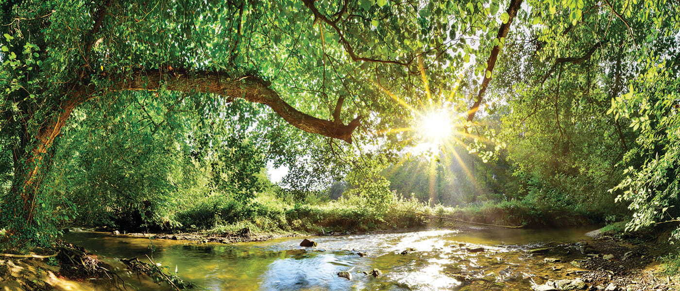 inception-app-prod/NWE0ZjZlZjgtN2Q3OS00ZDI2LWE3NGQtMGU4NTA2ODYzMTJi/content/2019/07/Creek small.jpg