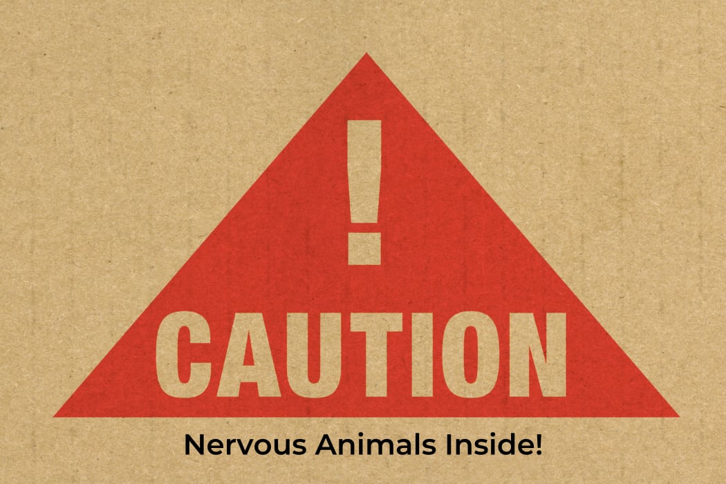 Tips For Moving With Kids Or Pets inception-app-prod/NWE1ODA4YTUtODdiZC00YmVjLTk2NjEtOWE5MzUxMDVlNWRk/content/2023/04/9fe9ac87748c95d8c844c55604a25db4eac54300.png