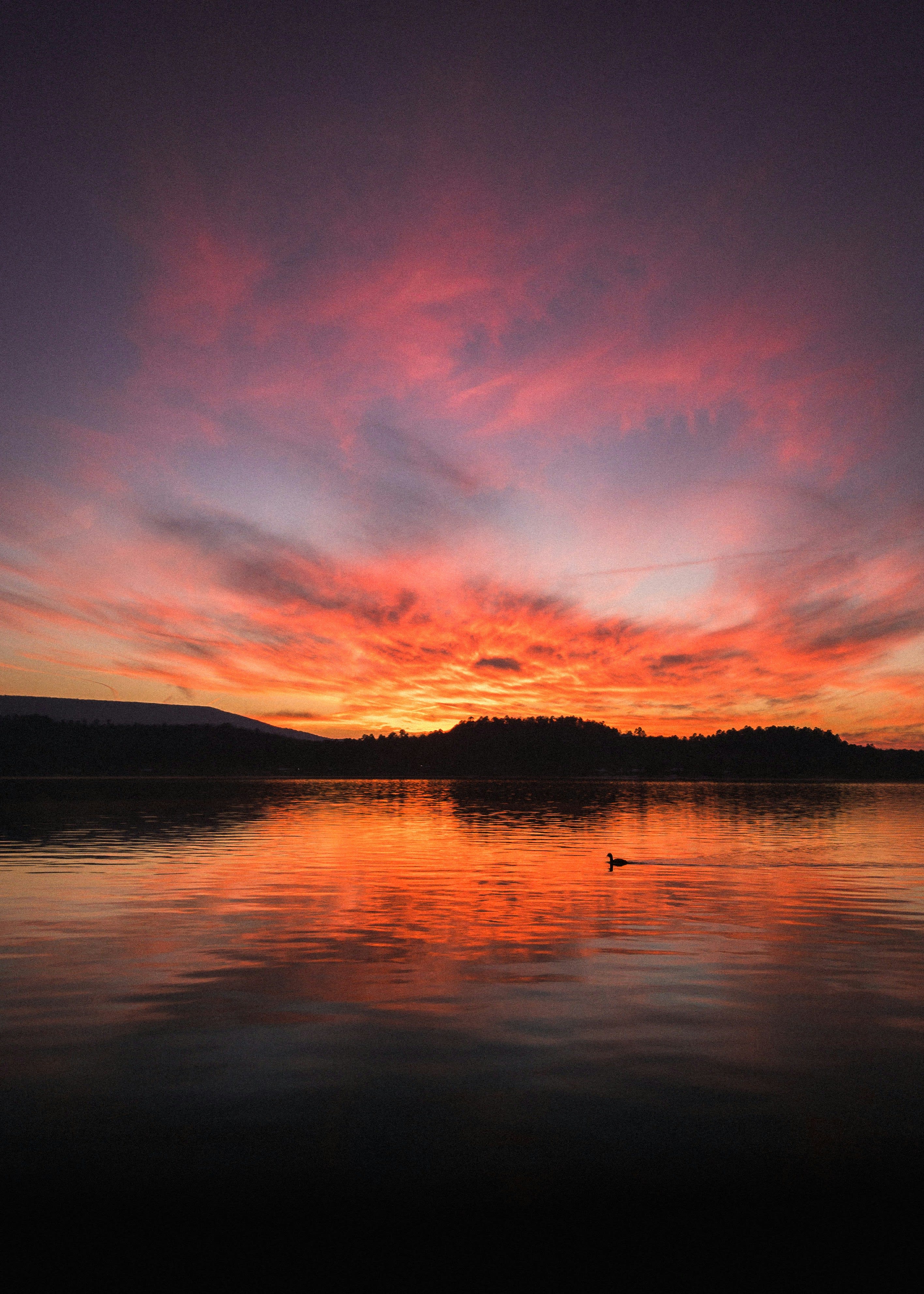 Why Out-of-State Buyers Are Choosing Conway, Arkansas inception-app-prod/NWIwYjlhMjktY2ZmYy00YmY5LWEzYjQtMmYwMTljZjdmOTkw/content/2026/06/833be25c37ca0ef207a7e12da0a26c1555bfe999.jpg