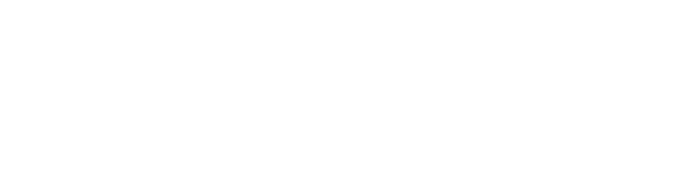 The Bellwether Team logo