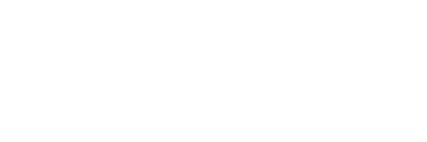 The Bellwether Team logo