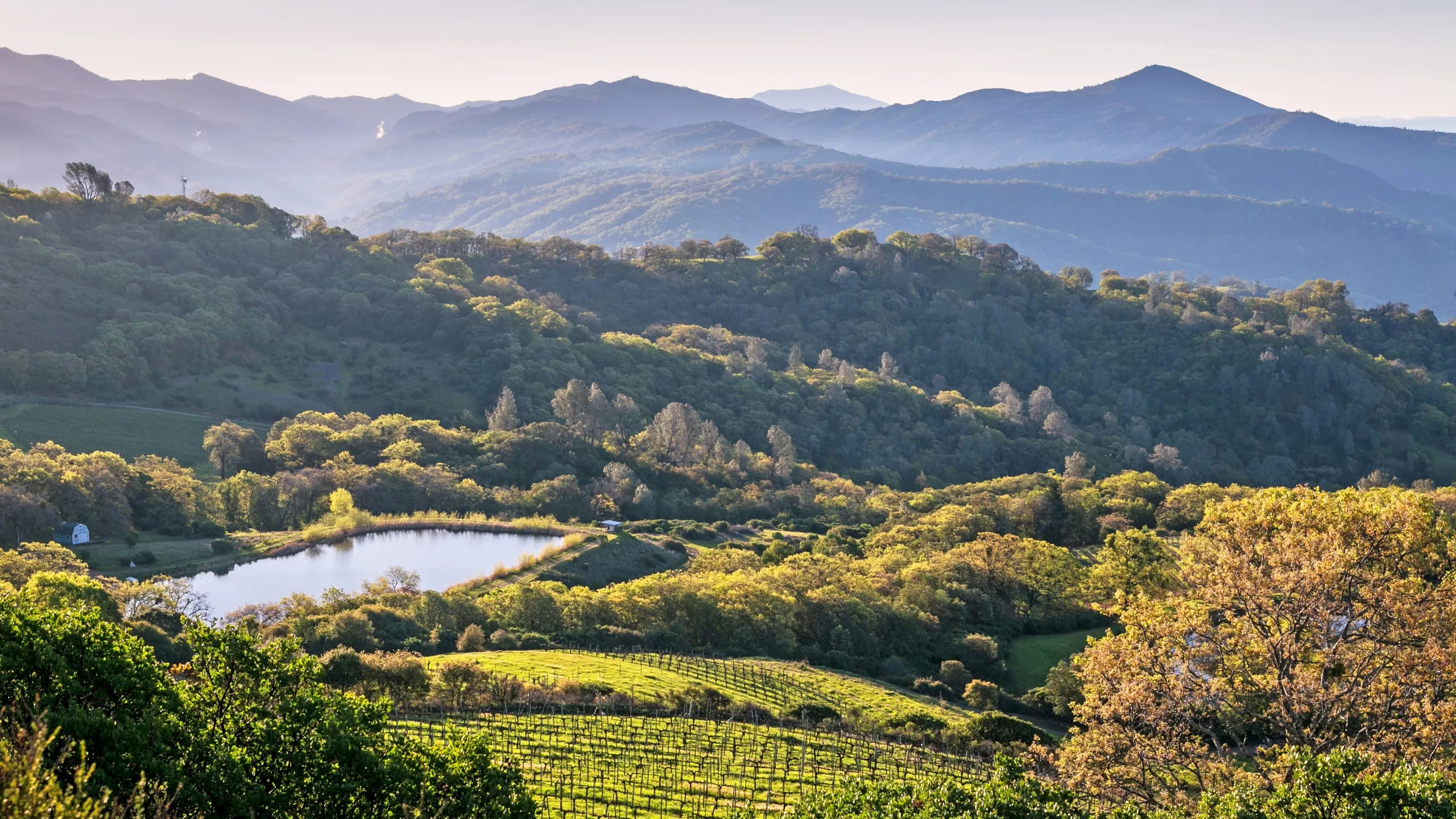 Healdsburg inception-app-prod/NWNjMWRlODYtOGRmMS00OWE2LWIxMGQtYTRlYWZjM2ZlZGZm/content/2023/10/778e1ca8ade35ed55c58d581e6e48553a669cd19.webp