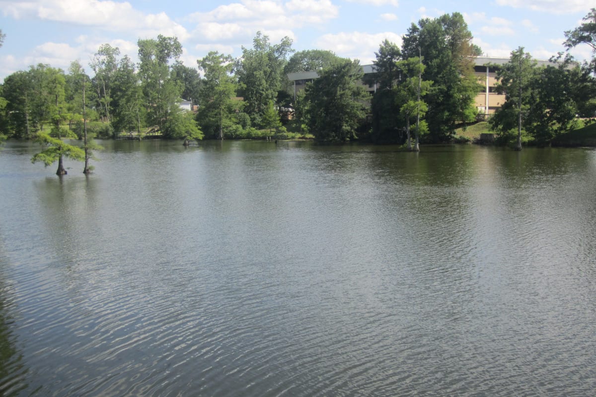 Monroe/Swartz inception-app-prod/NWRkYjA0MmMtMGNhMy00OTFkLWE3ZDQtZDMzYTllNTlmODc1/content/2017/04/swartz-2.jpg
