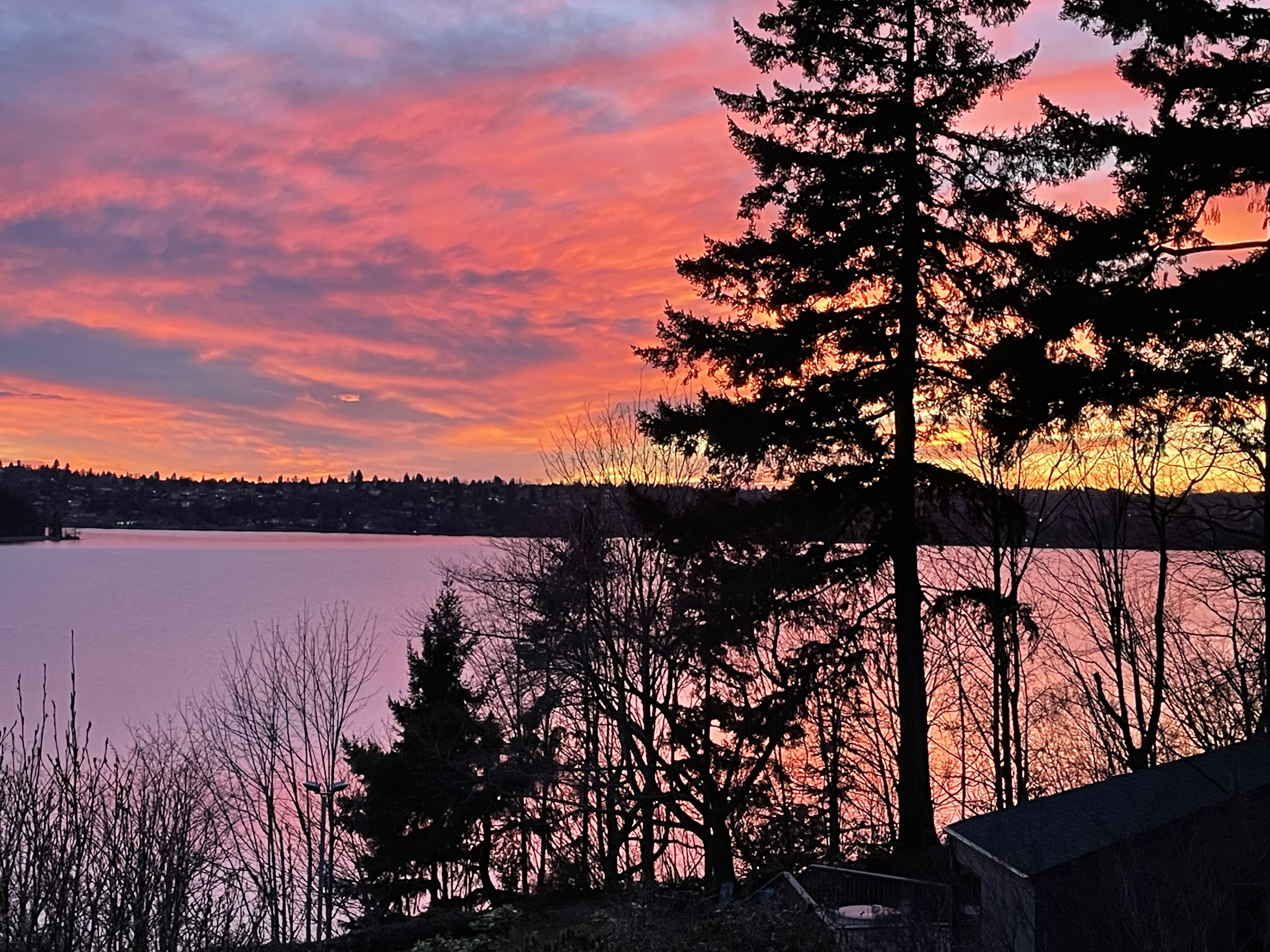 Mercer Island Market Report July 2026 inception-app-prod/NWYxMzZmZTgtNjRmZC00ODkxLWEyNmItMDg5OWFlNTZmY2I5/content/2026/08/7616b74cc7db56e6cd563f27e19abf278f602e4b.jpg