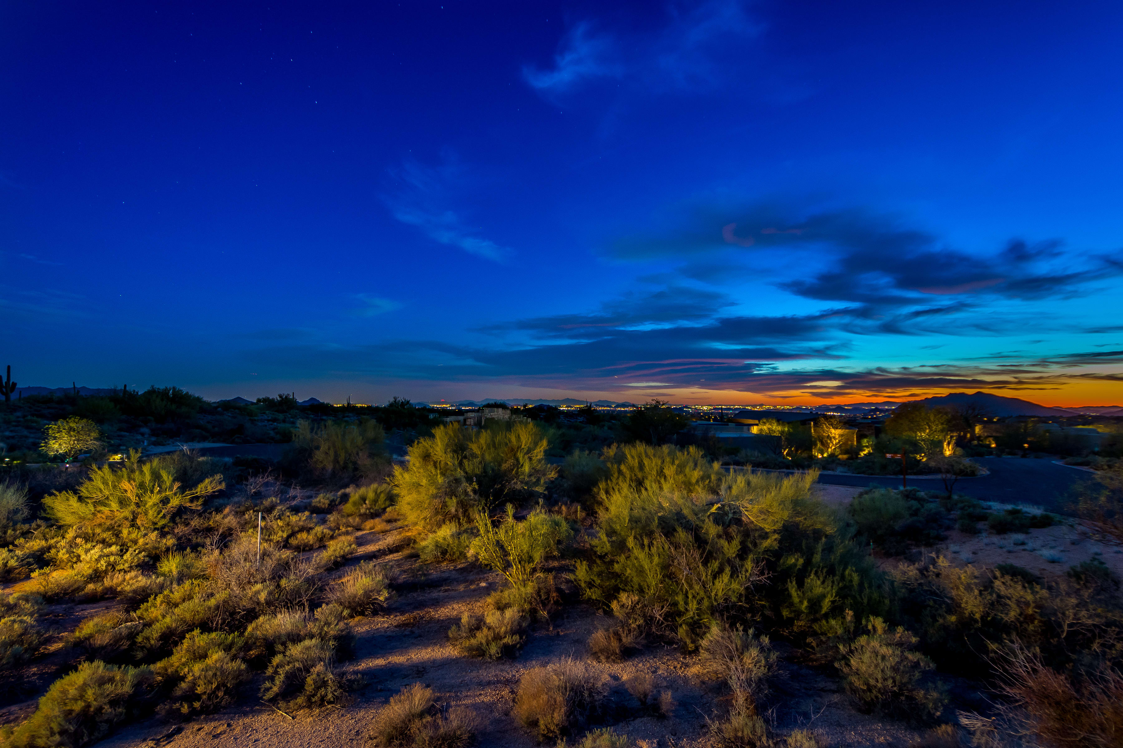 inception-app-prod/NjE3MDQ4ZjgtNGEzYS00YmJiLWEyYzYtMzcyOThjNWY5M2U2/content/2019/05/001_Desert Mountain Grey Fox Lot 3 .jpg