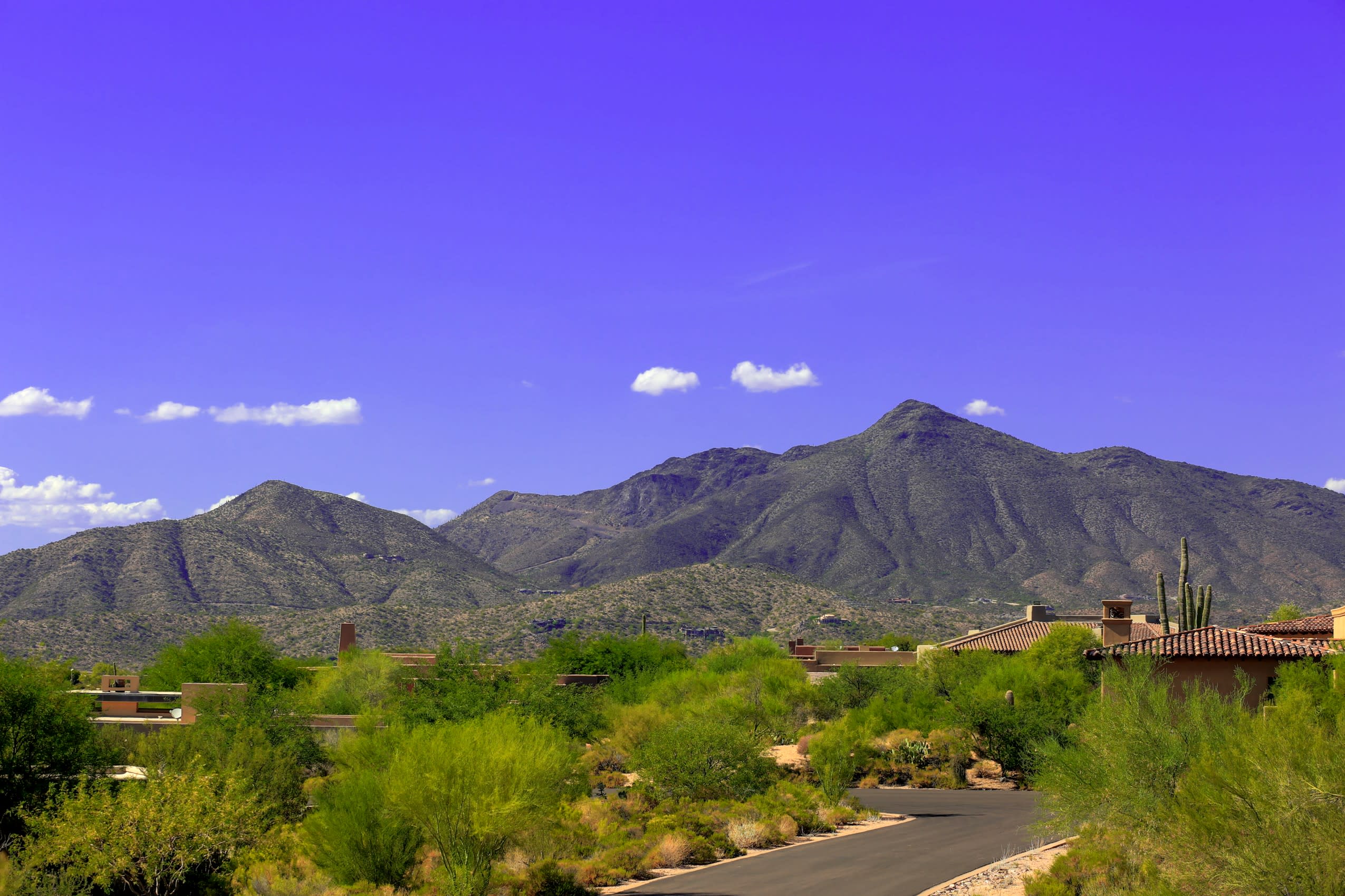 inception-app-prod/NjE3MDQ4ZjgtNGEzYS00YmJiLWEyYzYtMzcyOThjNWY5M2U2/content/2019/05/009_Desert Mountain Grey Fox Lot 3 .jpg