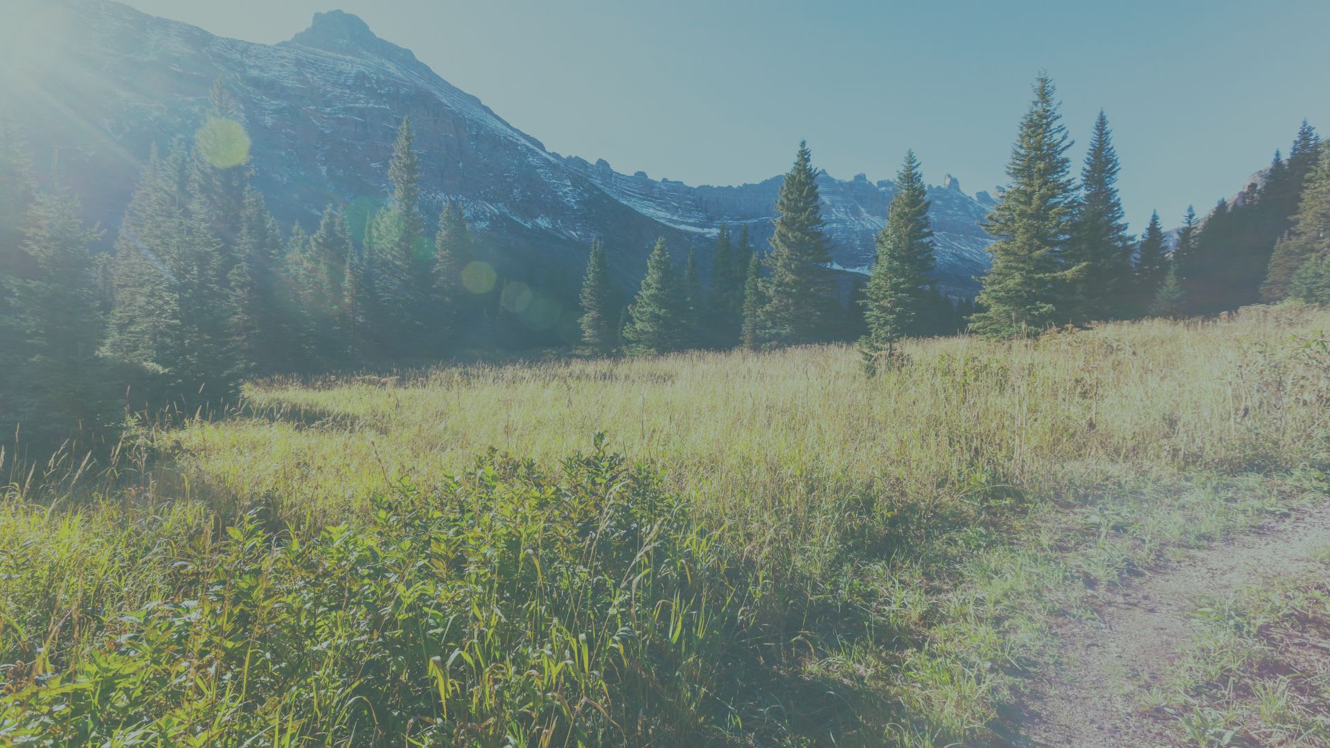 Median Sales Prices Across Montana inception-app-prod/NjJjYmJhOTAtOTAwMy00MDg5LTk1Y2MtZGY4YTM4MGFjNzc3/content/2025/09/cf29a112b3f9b8dafd0e10aca6f560527d98d63a.jpg