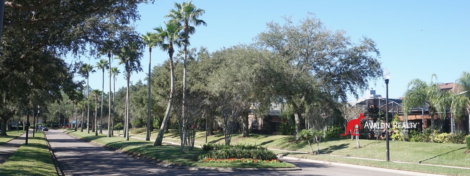 Quiet Tree Lined Streets