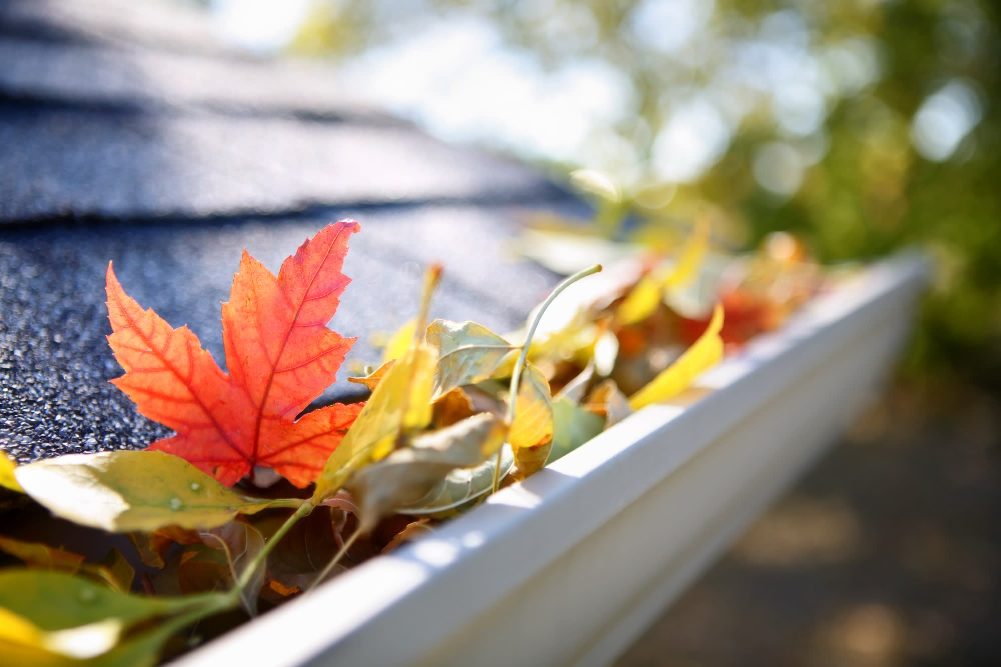 Essential Home Maintenance Tips for Fall inception-app-prod/NjQ2ZGIzMmMtMmZhZS00ZDE0LThlZGQtMGNiZGJjMWFkZmRh/content/2024/09/d090910978966c7617dae9337a952c2492480dea.jpg