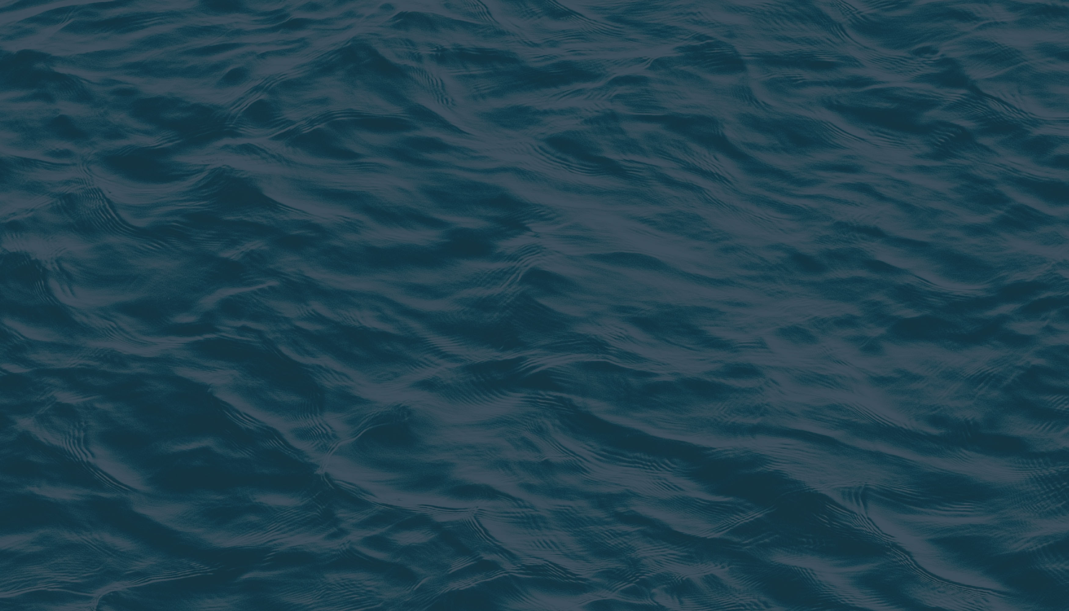 Excelsior inception-app-prod/NjQ3YTE3ZDUtMTVhMi00NGQzLWFjYjUtYWY3YmY0ZWY1M2Q1/content/2024/12/3fedb01673a6f64a912c171204b8939cd81fe727.jpg