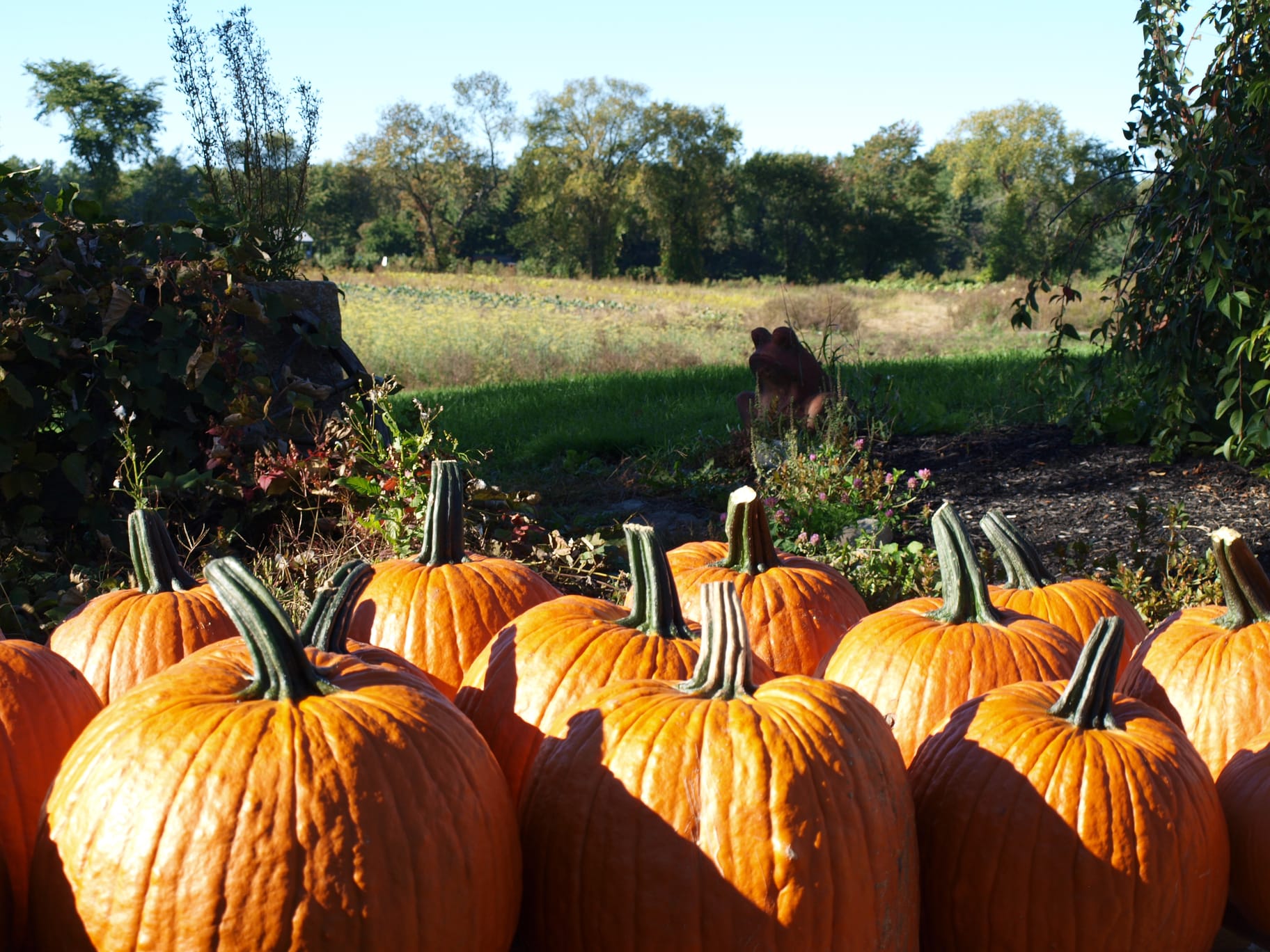 Templeton inception-app-prod/Njg0NTQ4NmUtYzJkZi00MTk5LTlhZjktMGJkYzYxMDYzZTY0/content/2022/11/b46d09b09d9d7dea447179bd56e73c8ab0d0dbab.jpg