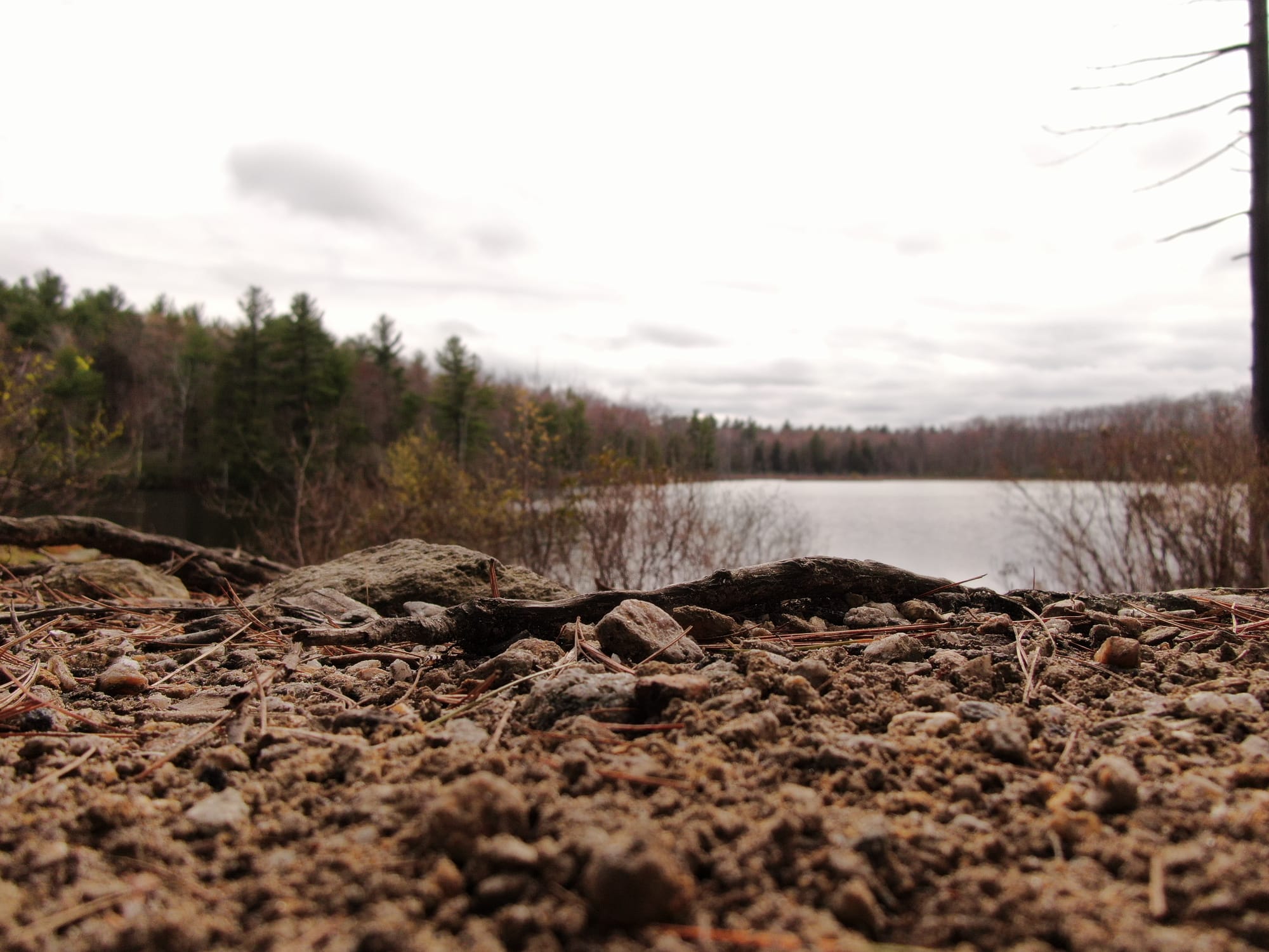 Westminster inception-app-prod/Njg0NTQ4NmUtYzJkZi00MTk5LTlhZjktMGJkYzYxMDYzZTY0/content/2022/11/ee389939906fcedbeb59eb46900e5bd14c8562c0.jpg