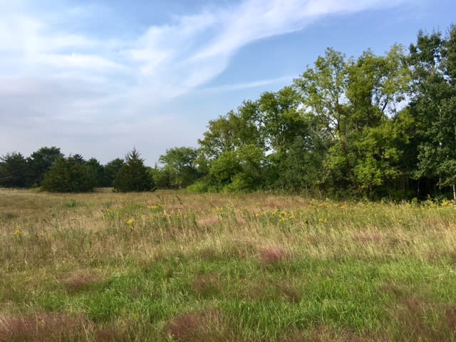 inception-app-prod/NmEwNzBmMGYtMmUxNi00Yjk4LTgxZDYtYWQ1NjI2ZjAyZmY4/content/2017/09/FullSizeRender %2822%29.jpg