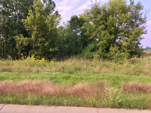 inception-app-prod/NmEwNzBmMGYtMmUxNi00Yjk4LTgxZDYtYWQ1NjI2ZjAyZmY4/content/2017/11/FullSizeRender %2819%29.jpg