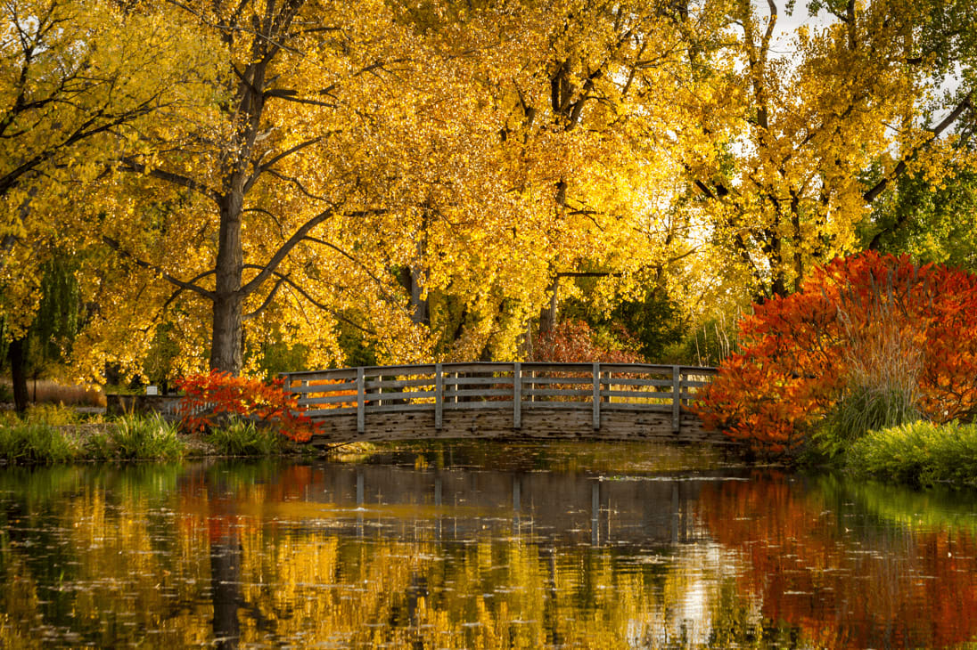 Littleton inception-app-prod/NmFmNWQwNWItNGFiOS00YmZhLWFmMzQtMGI5NmU5OWU3OGEy/content/2021/11/d52b08f33fbfe91714f977864bc033cb88aa18c4.png