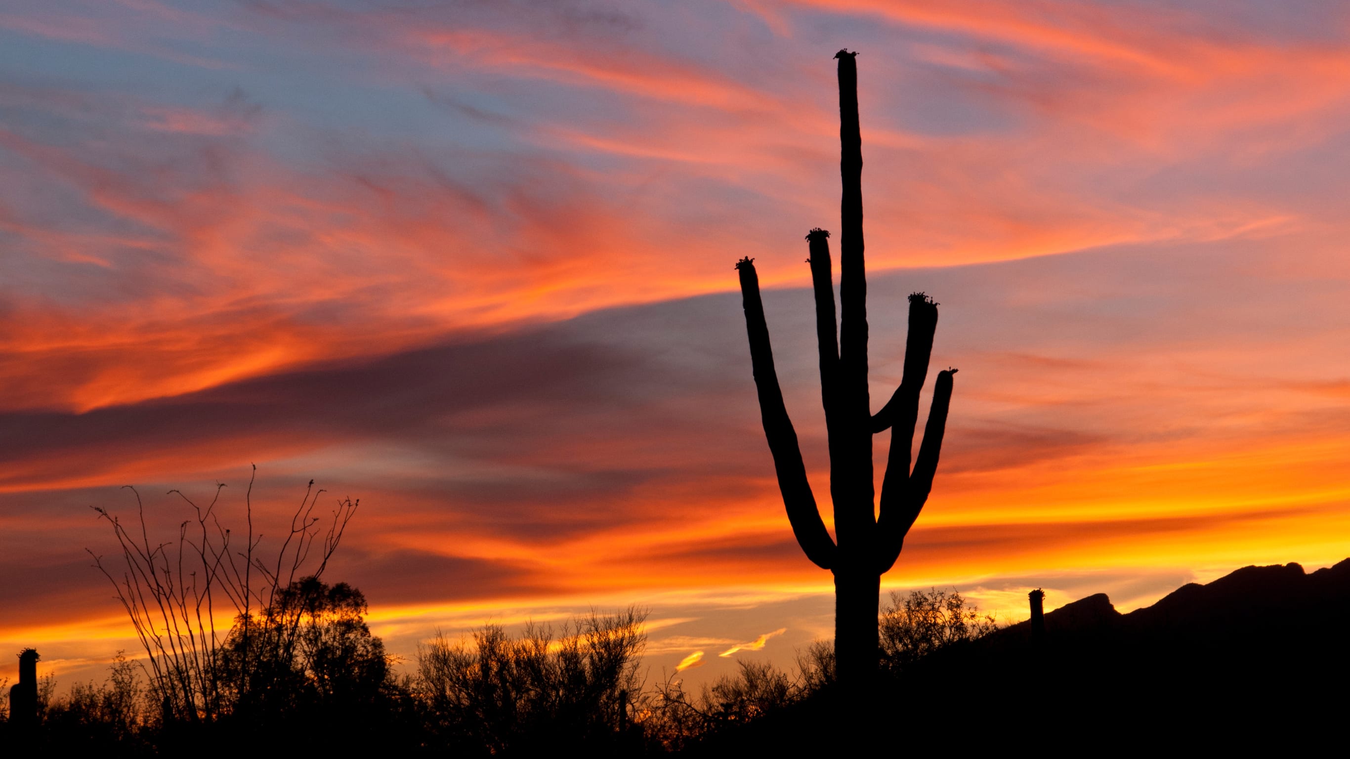 Surprise inception-app-prod/NmMwOTBjNDEtZGJmNC00ZWU0LThhOWMtYmEzNDMwZjBhY2Zl/content/2024/07/8034187166a3b9d8d5b2c867b2c43ed337f7f057.png