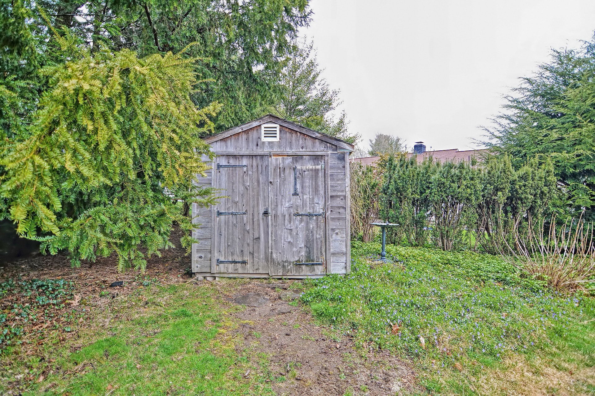backyard shed